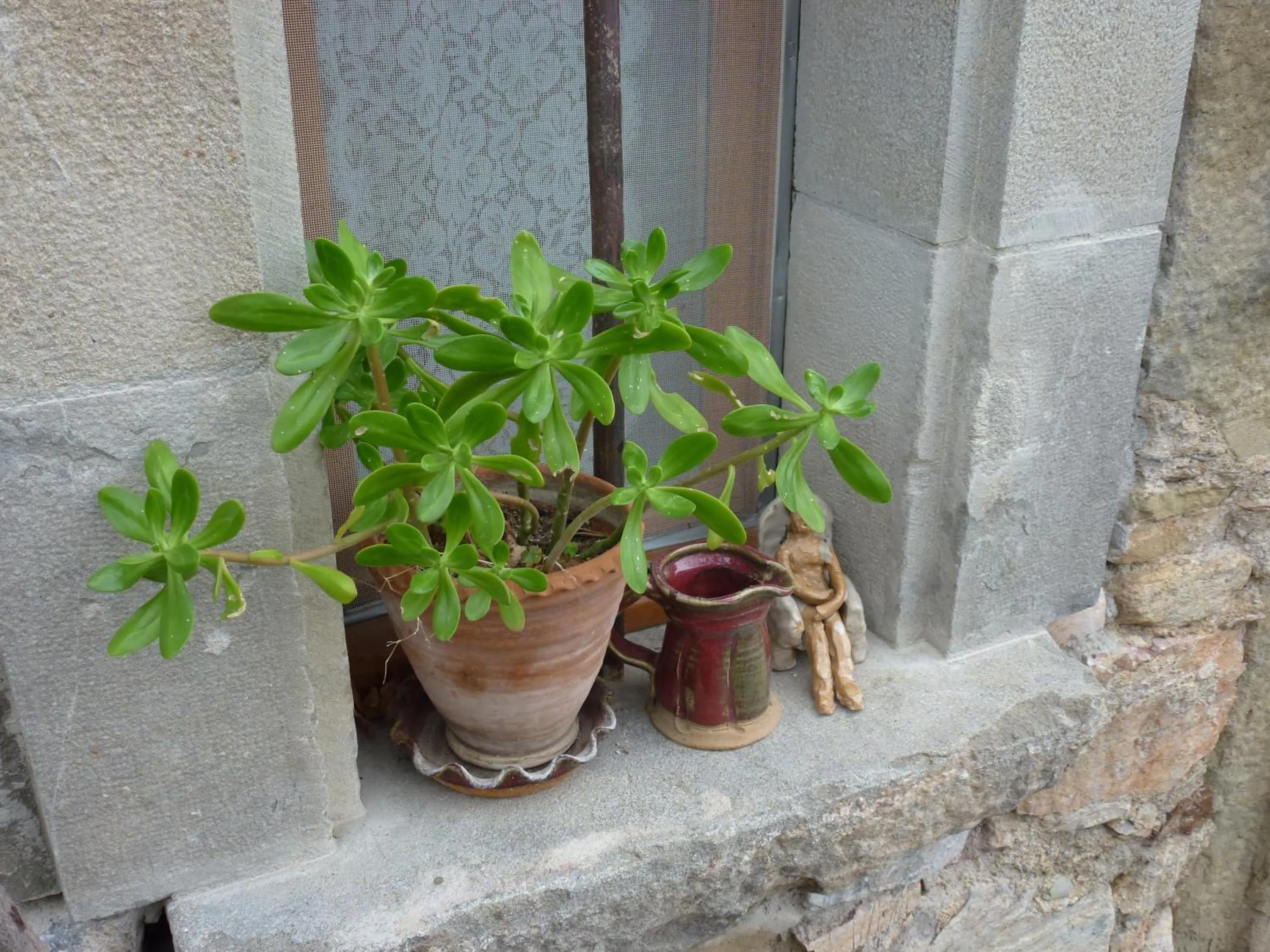 Garden view in Chambre d'Hôtes la Poterie