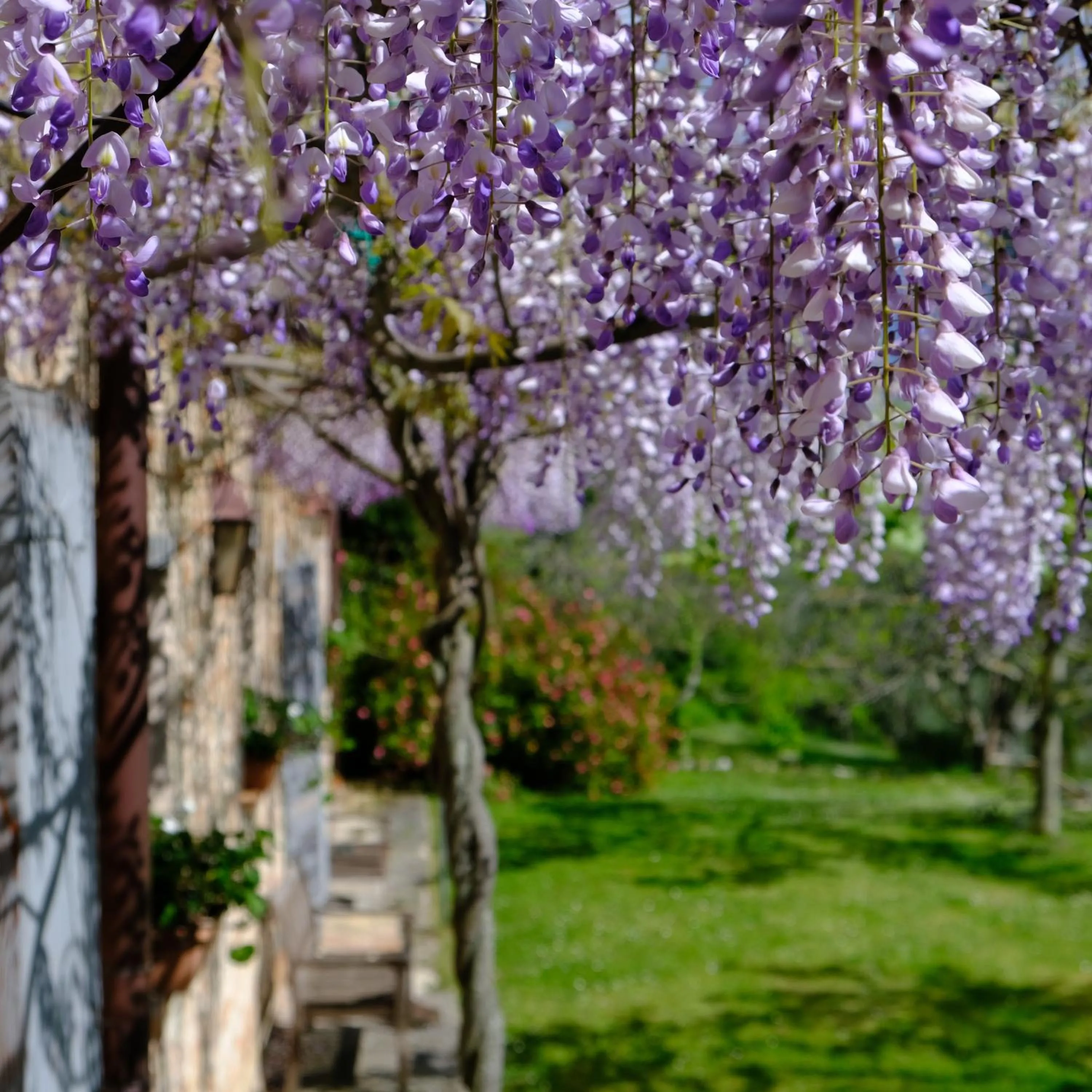Garden in Il Casale del Duca