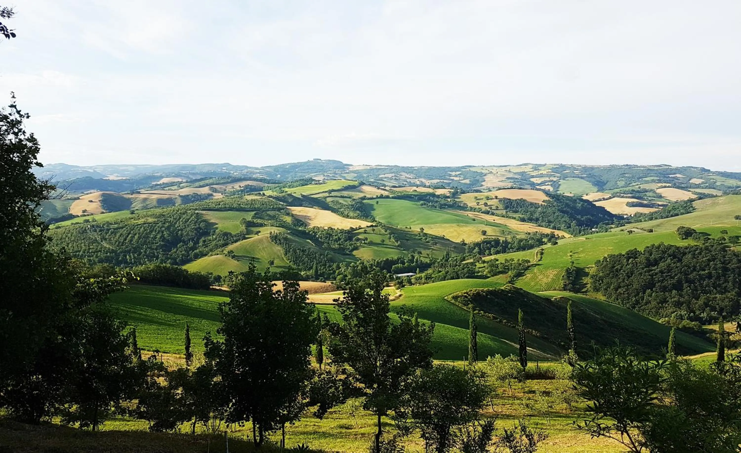 View (from property/room) in Il Casale del Duca