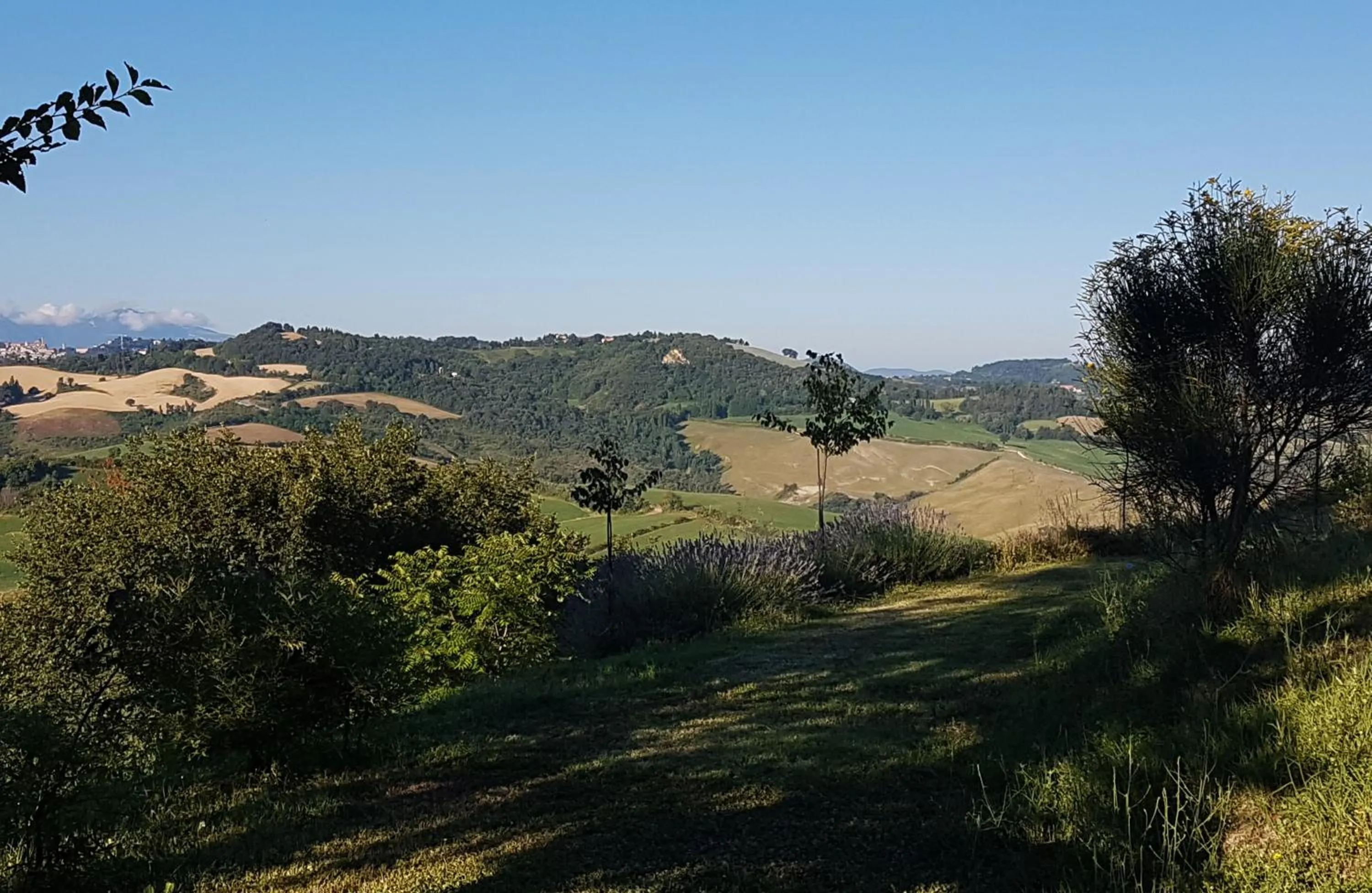 Garden in Il Casale del Duca