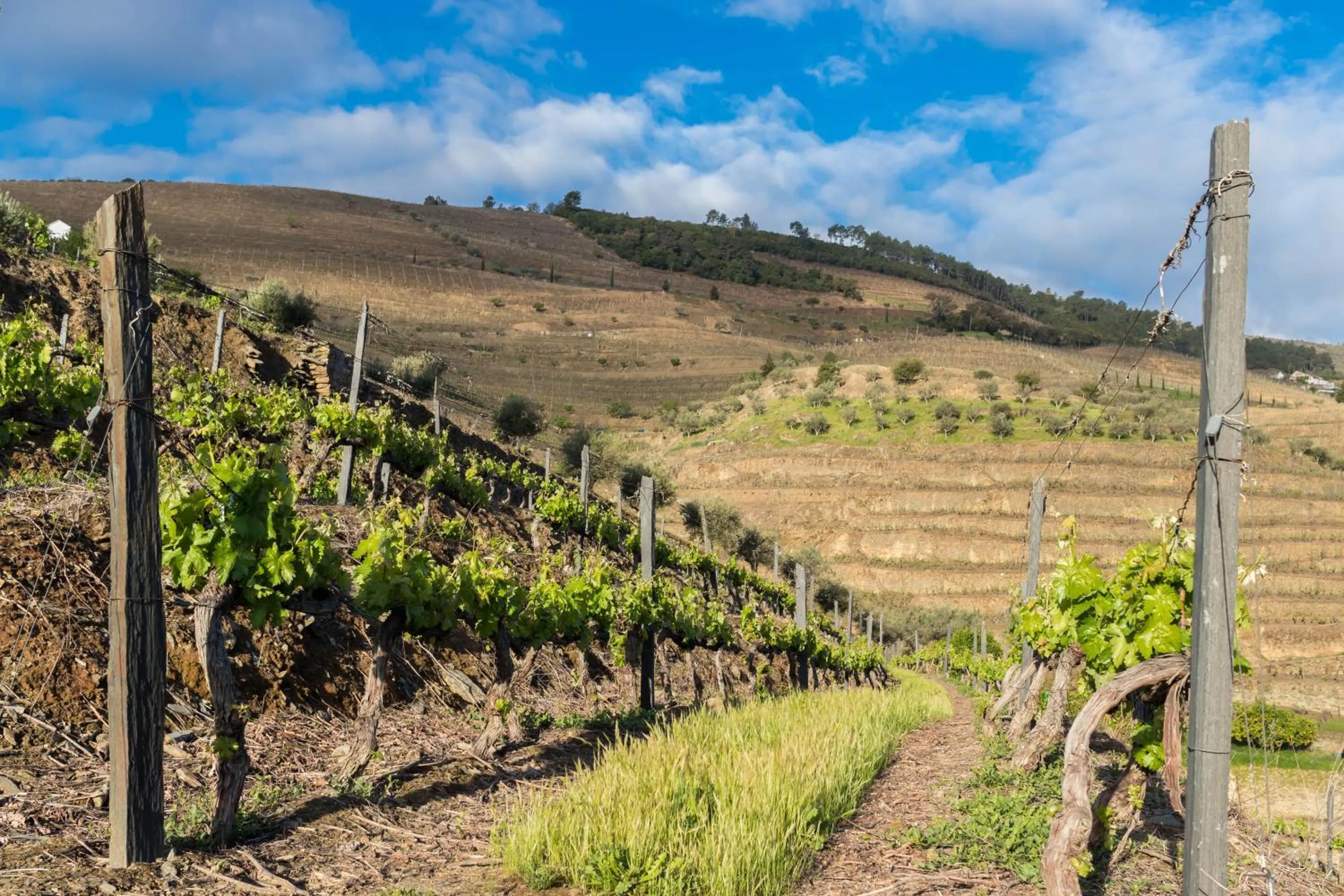 Hiking in Dois Lagares House