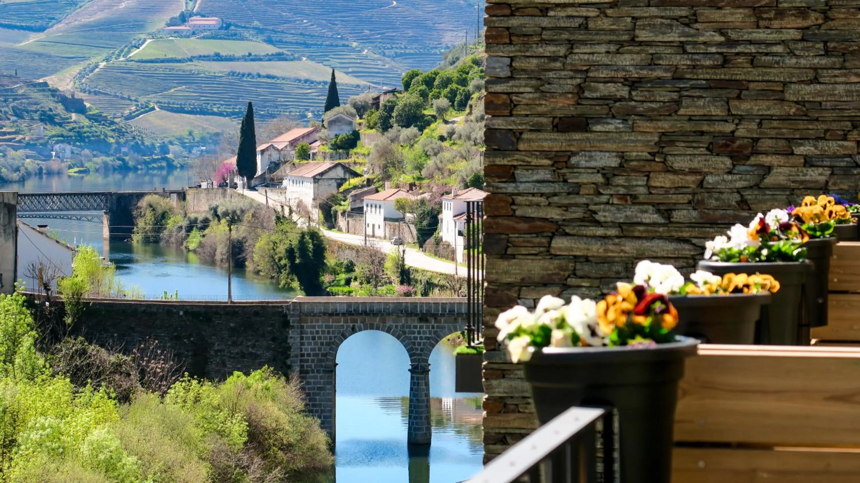 Natural landscape in Dois Lagares House