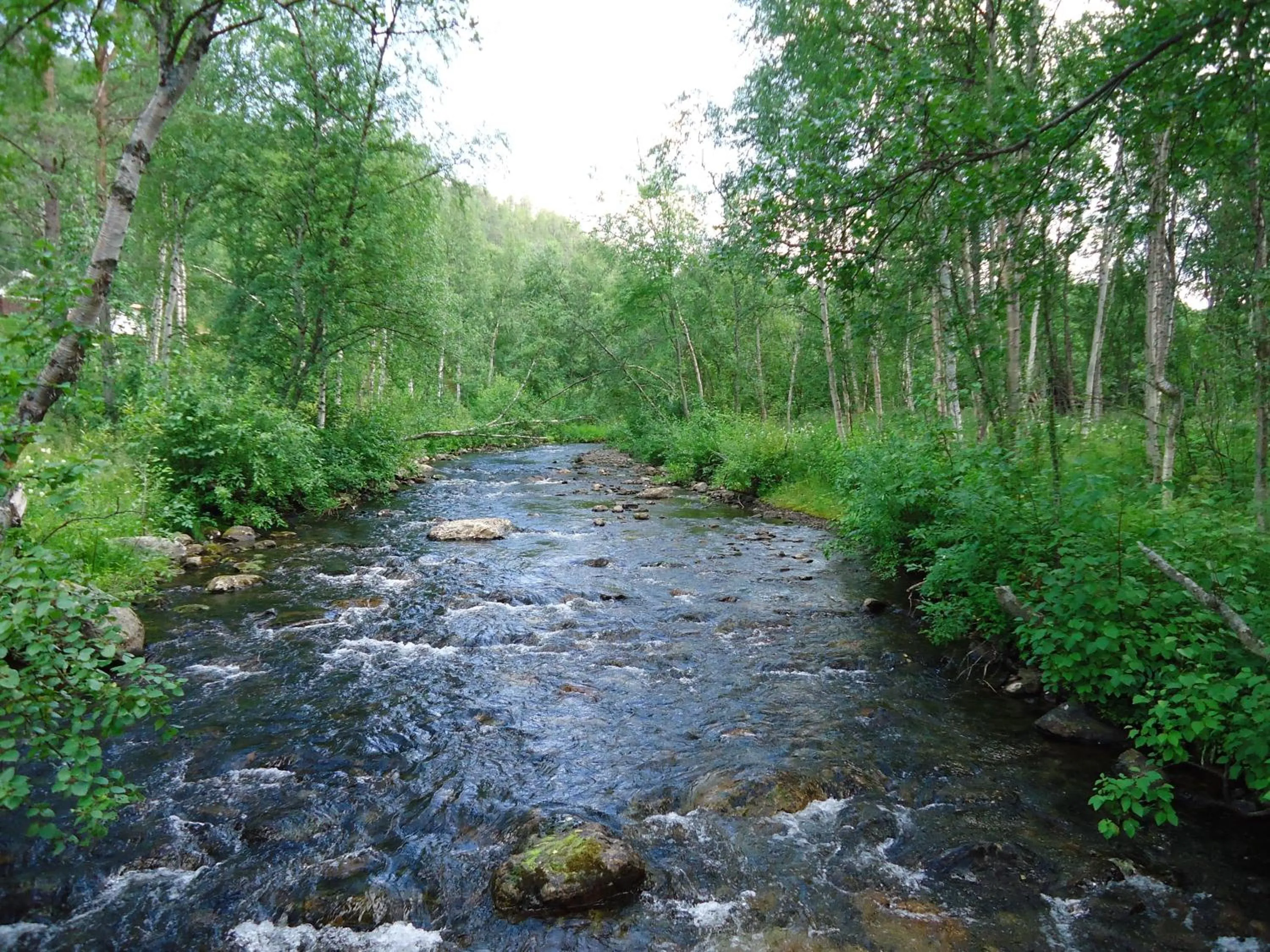 Off site in Gargia Lodge