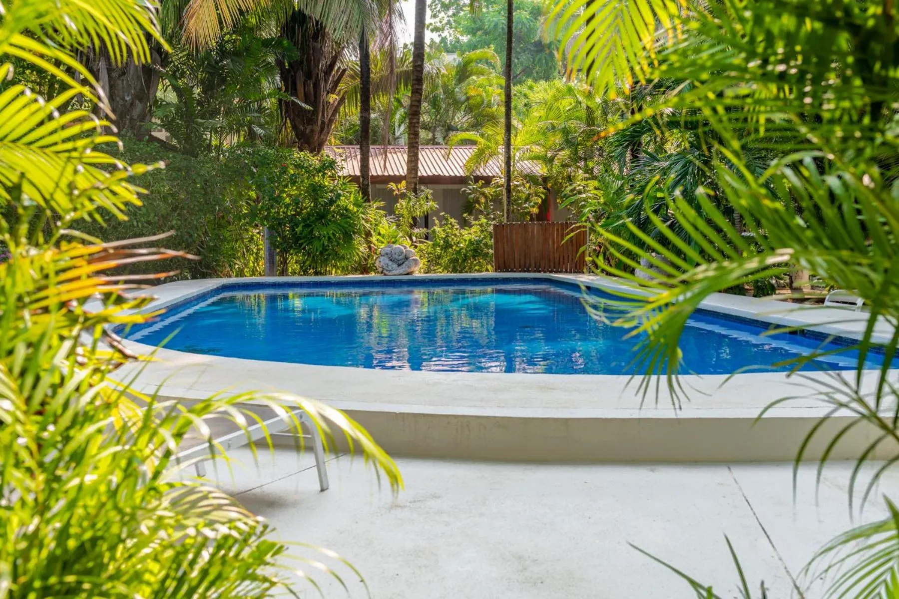 Swimming pool in Living Hotel