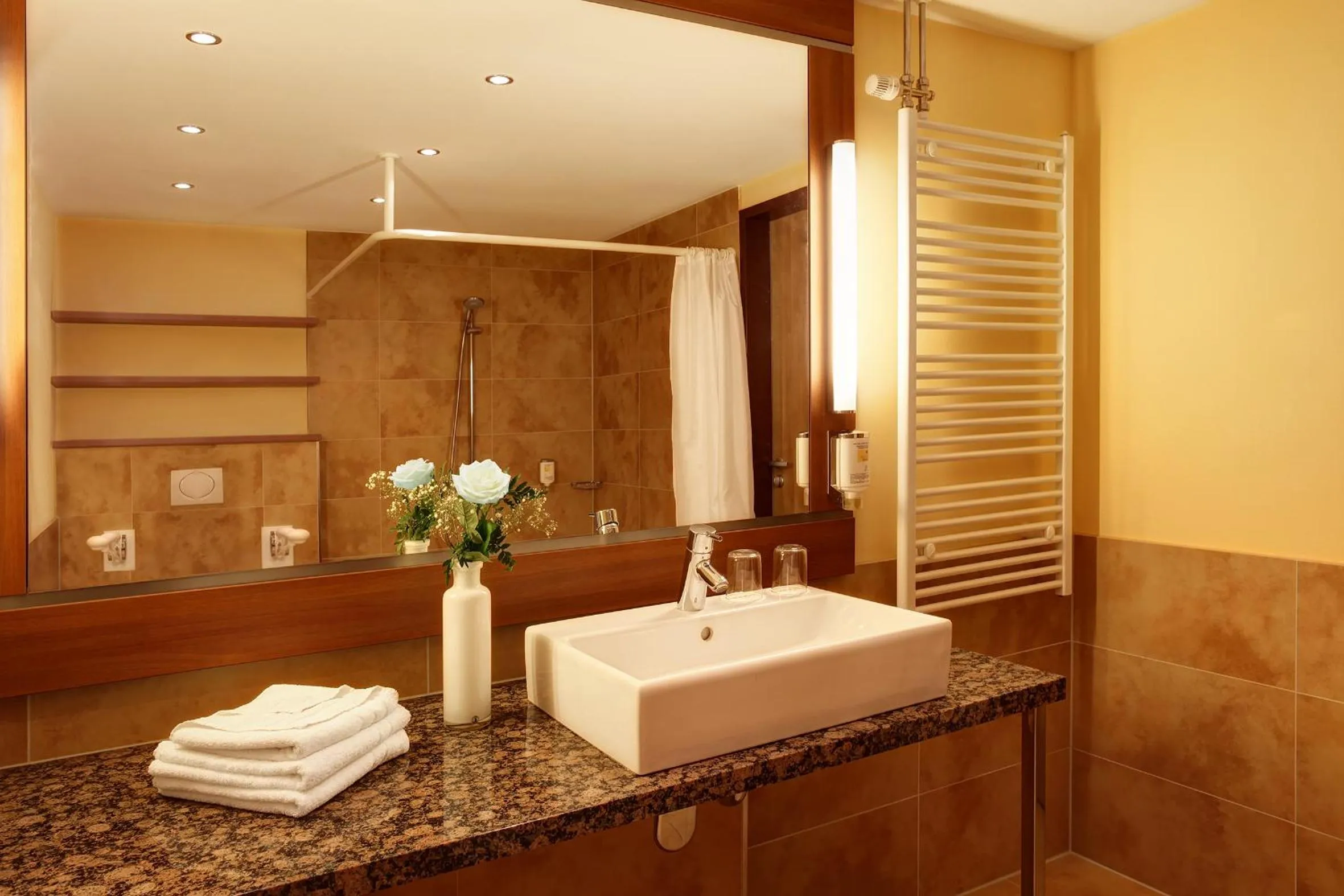 Bathroom in Seehotel Fleesensee