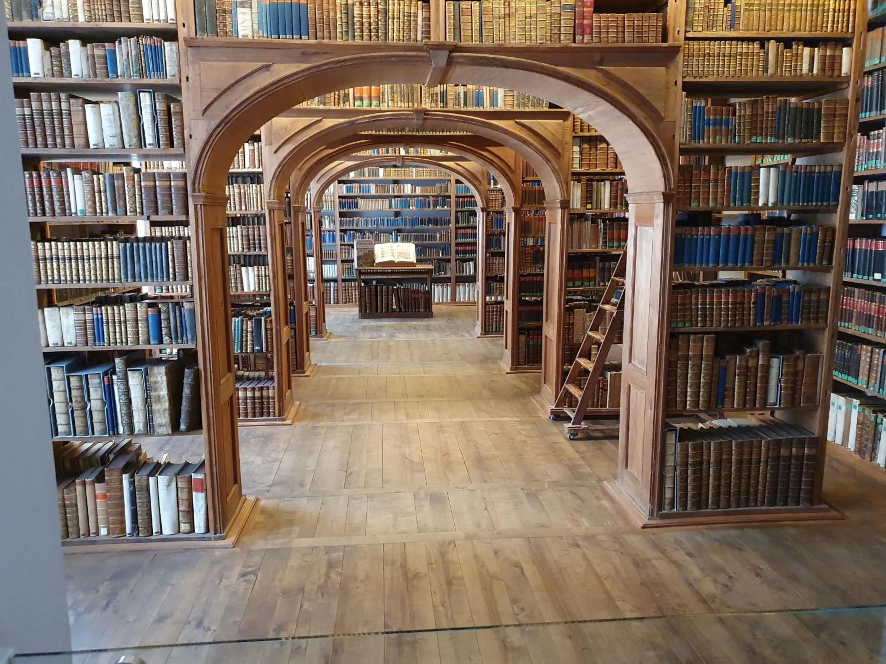 Library in Pension Grandel