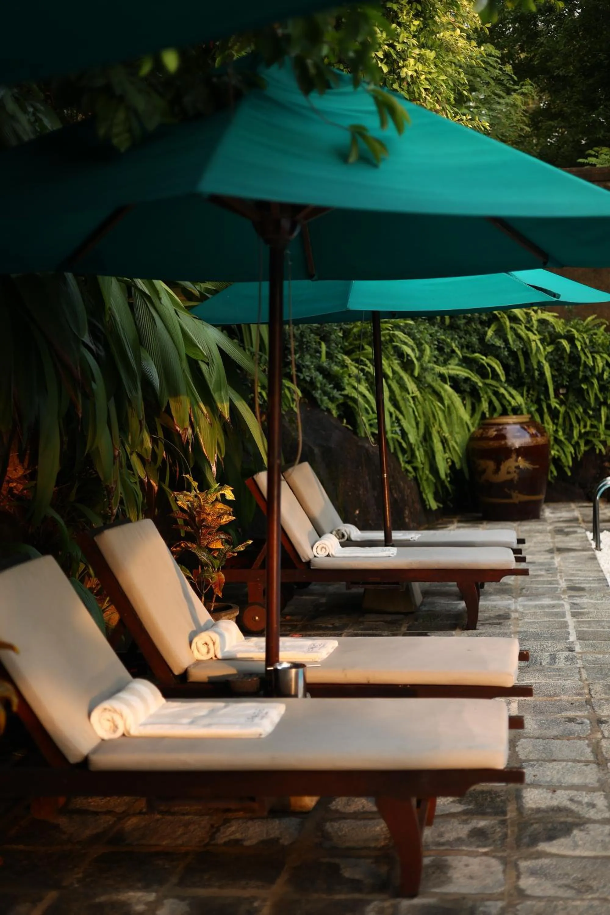 Swimming pool in Villa SPACE