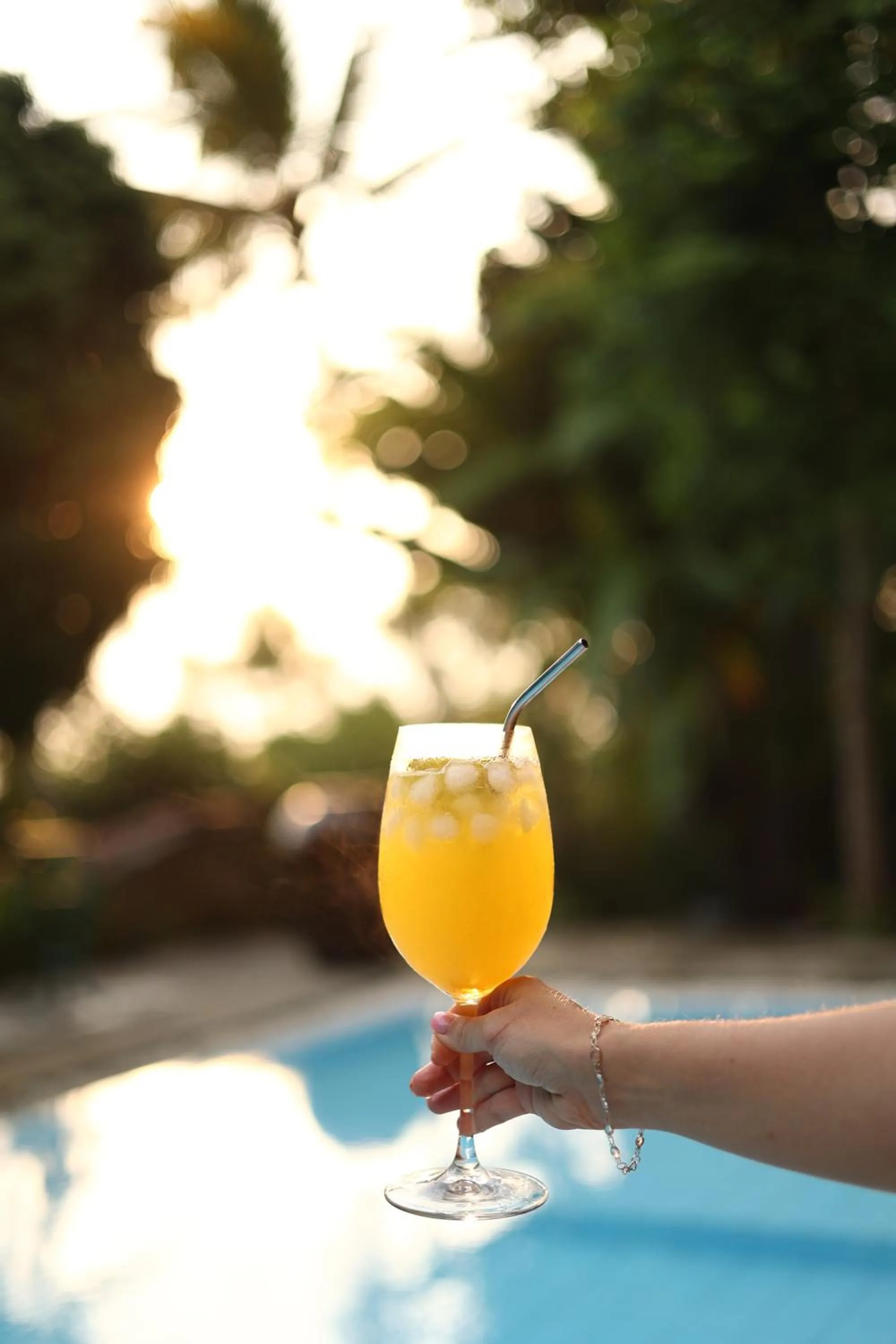 Swimming pool in Villa SPACE