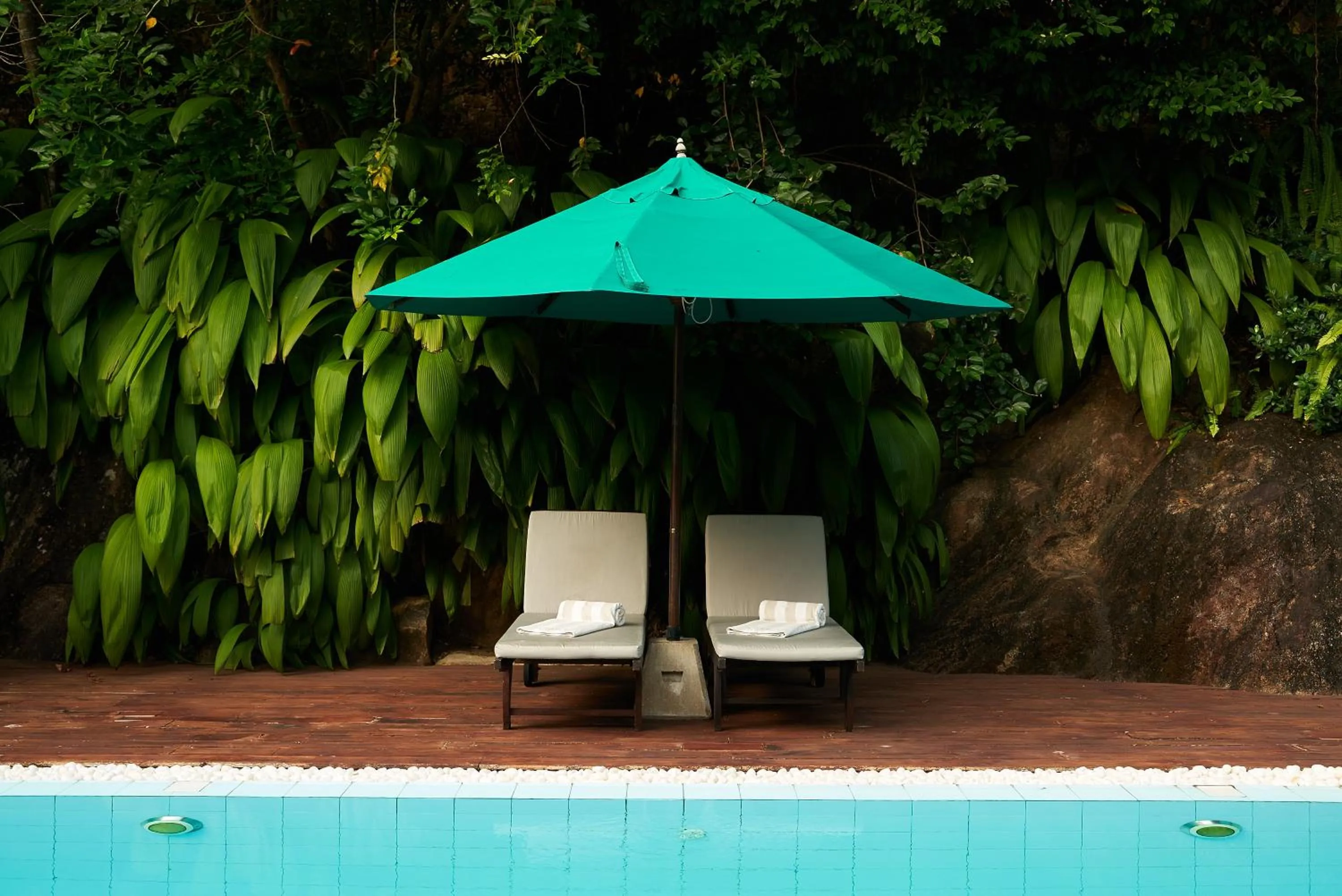 Swimming pool in Villa SPACE