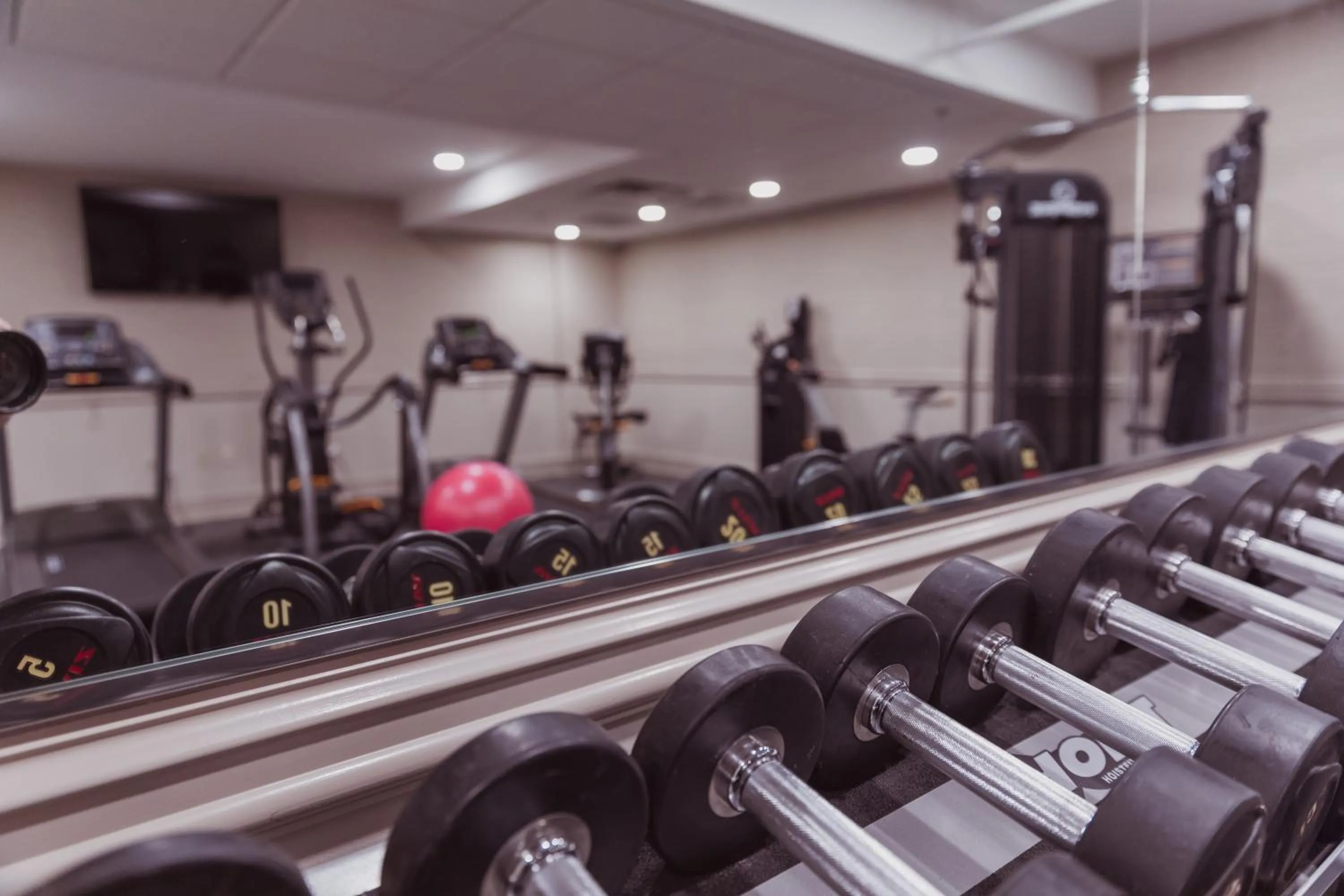 Fitness centre/facilities in The Parkview Hotel