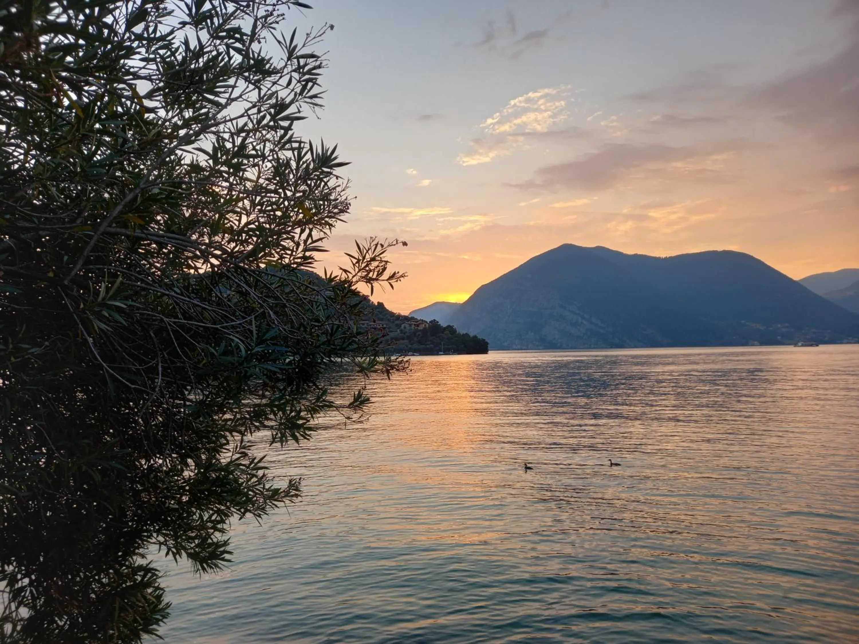 L'Oleandro sul Lago d'Iseo B&B