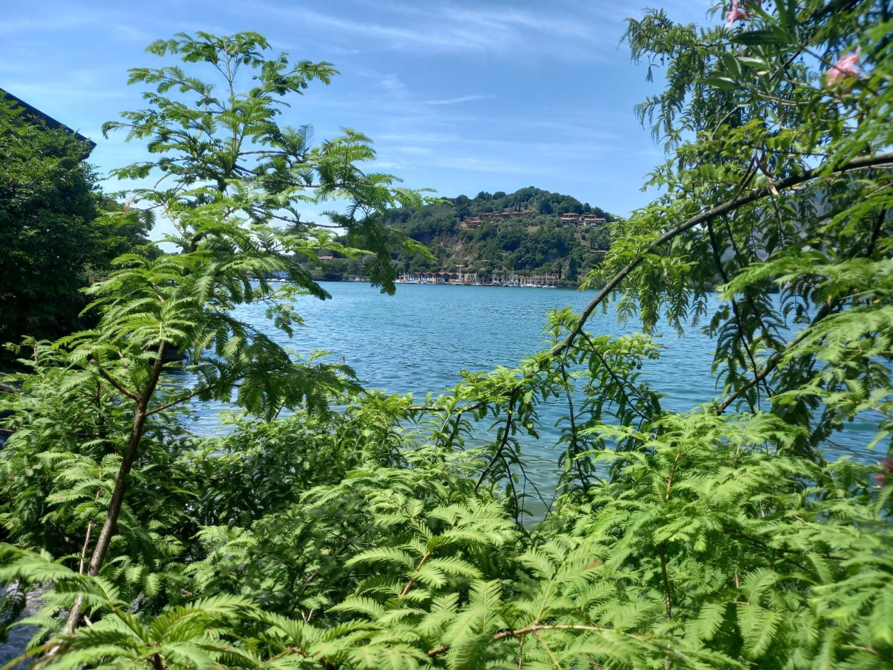 Natural landscape in L'Oleandro sul Lago d'Iseo B&B