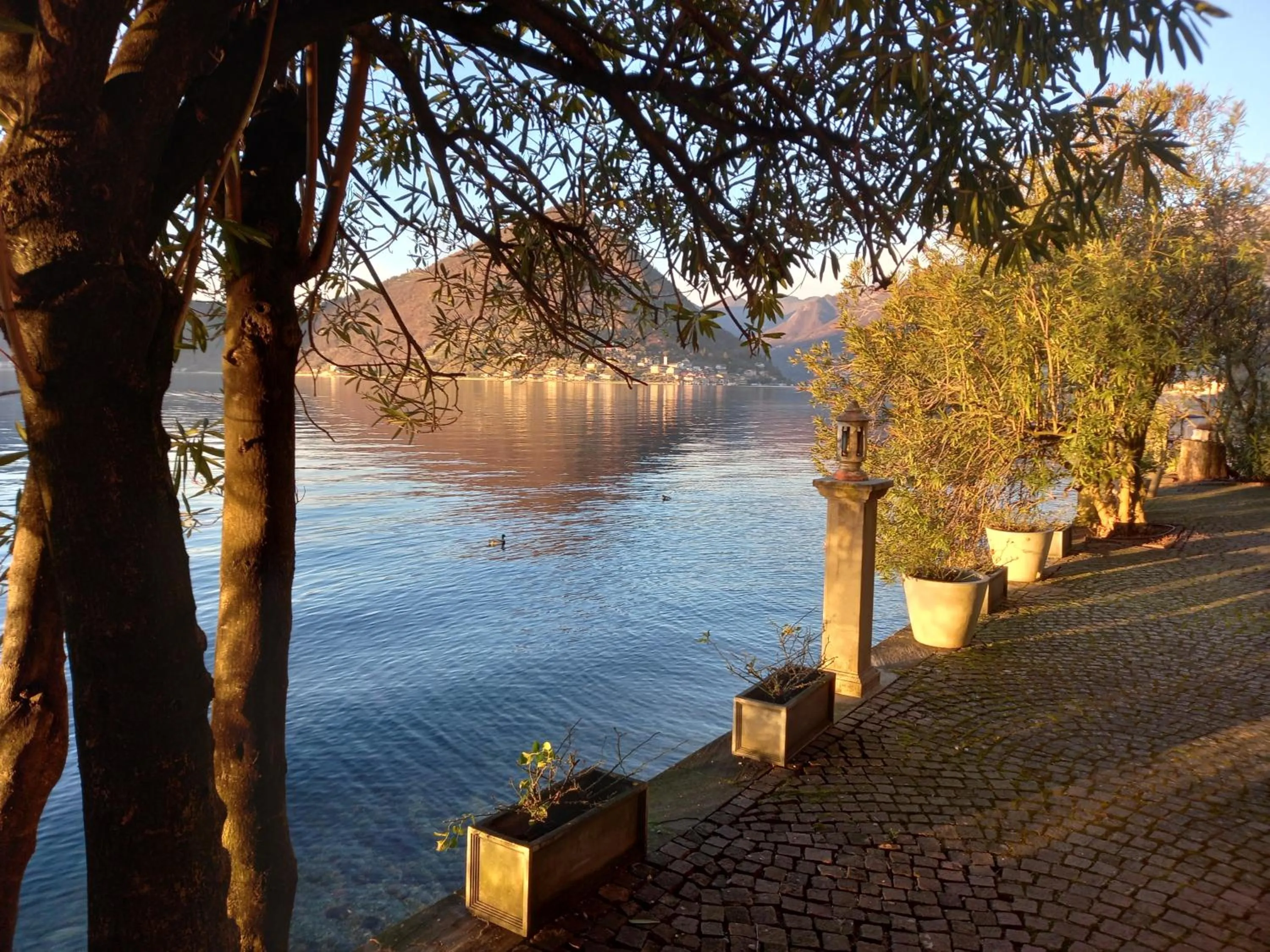 Lake view in L'Oleandro sul Lago d'Iseo B&B