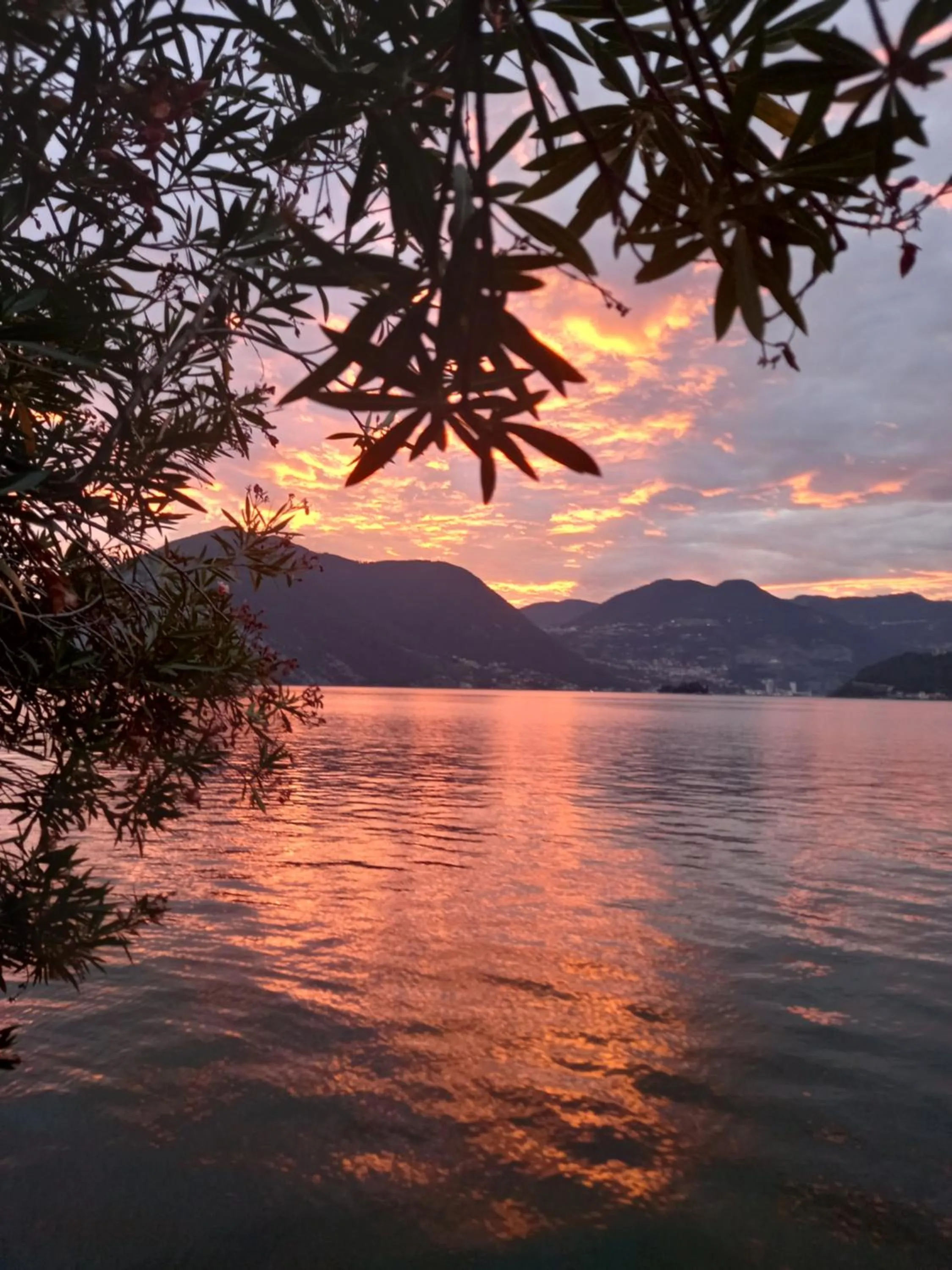 L'Oleandro sul Lago d'Iseo B&B