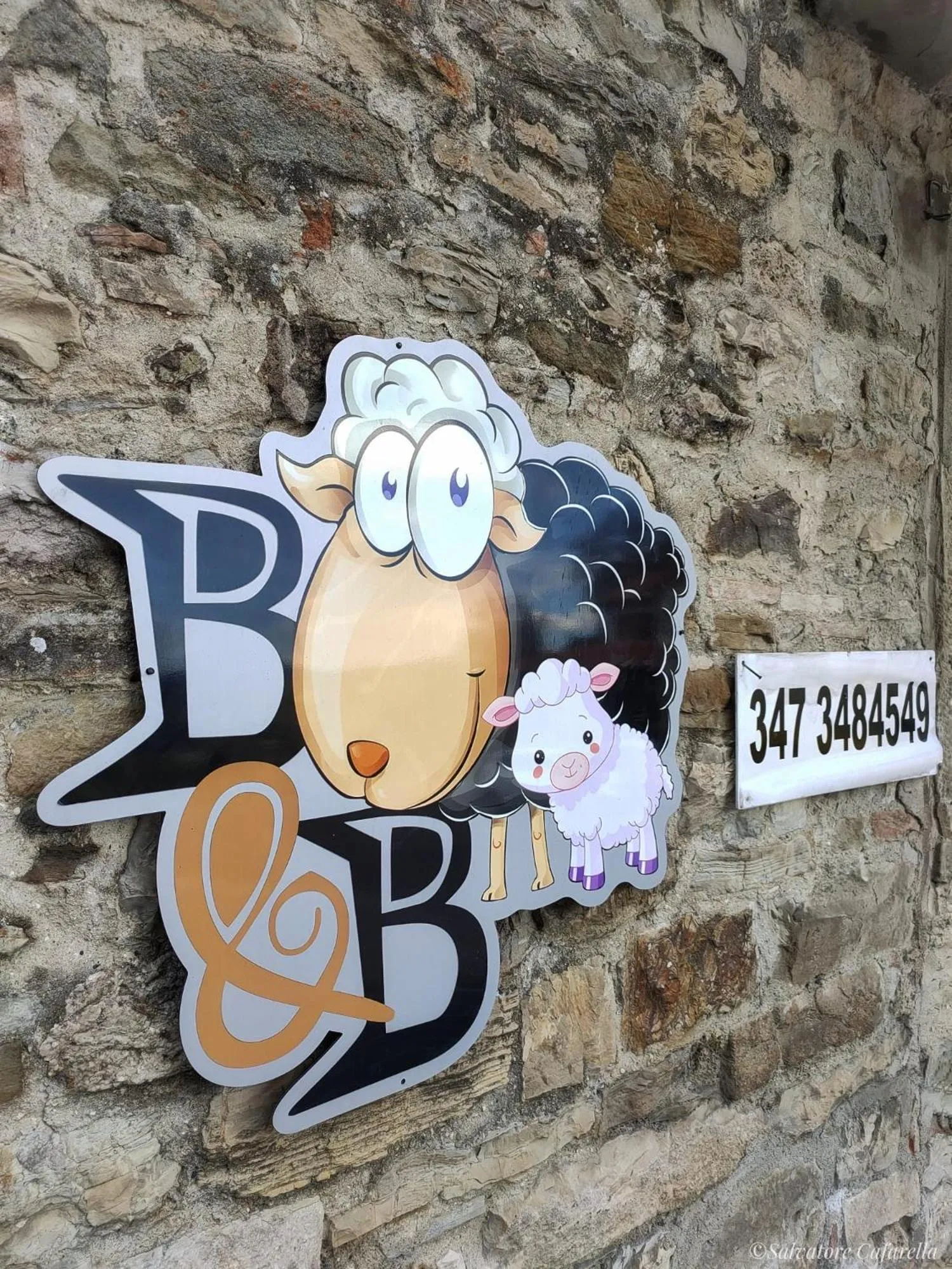 La pecora e l agnello