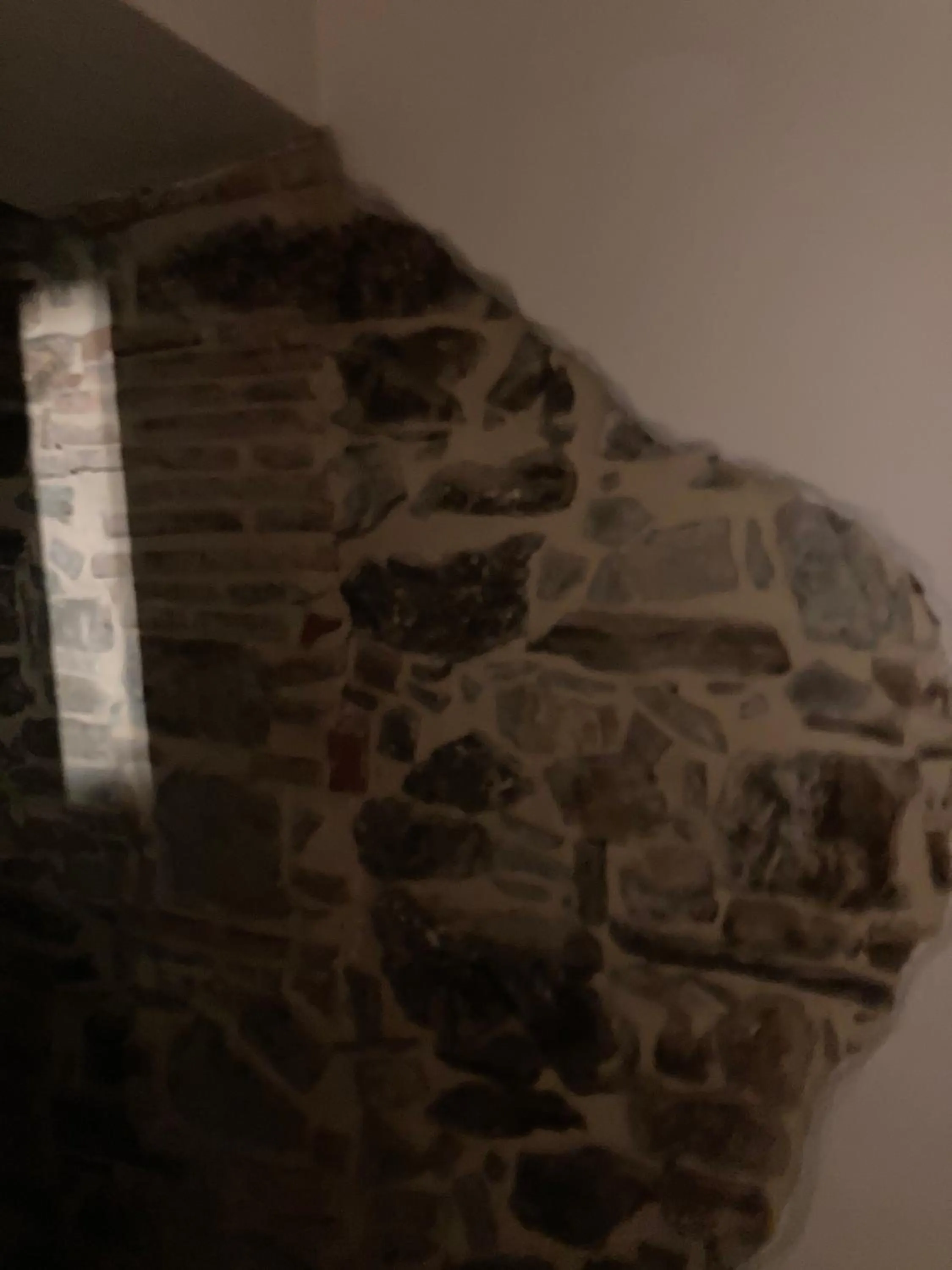 La pecora e l agnello