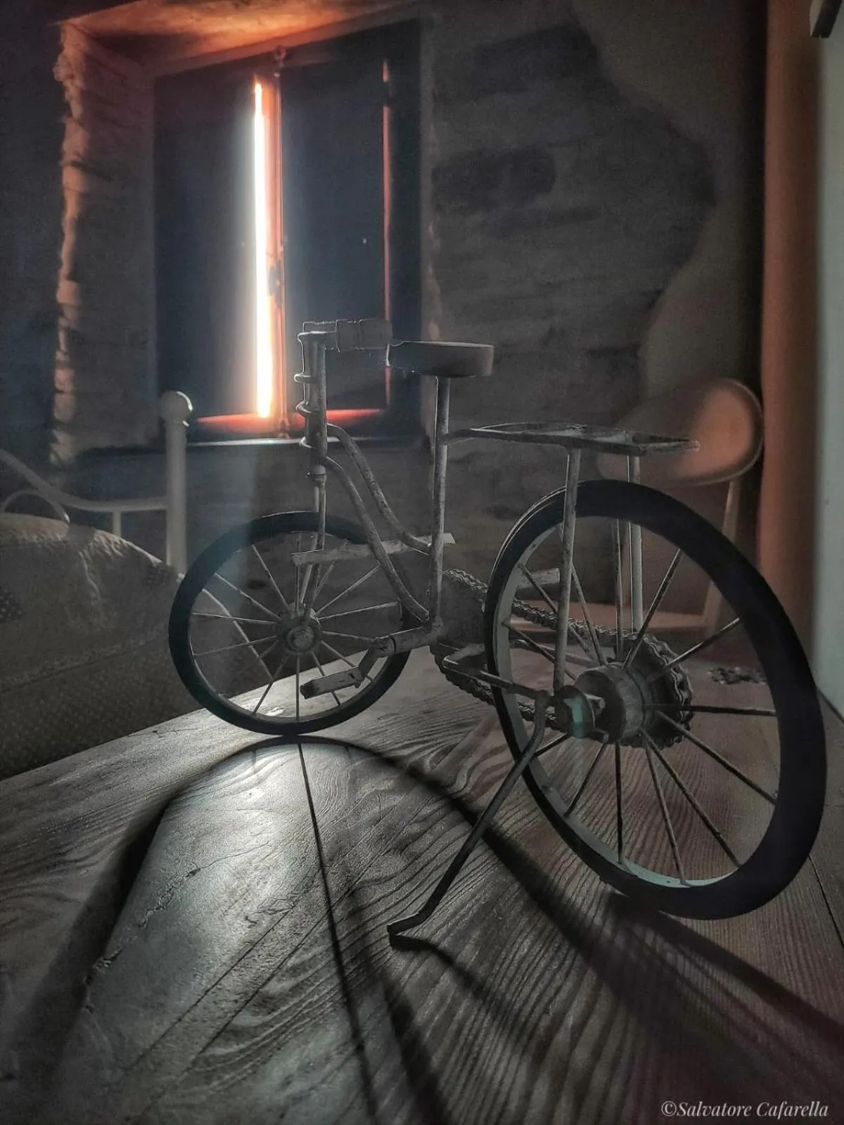 La pecora e l agnello