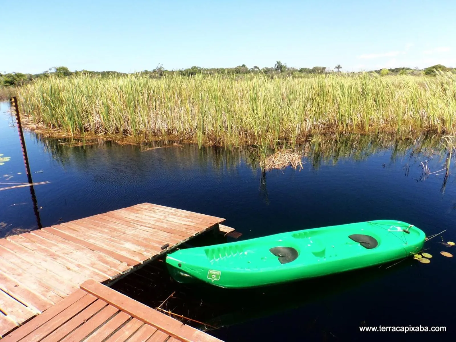 Natural landscape in HoStel de Setiba - HOSPEDARIA OCA RUCA