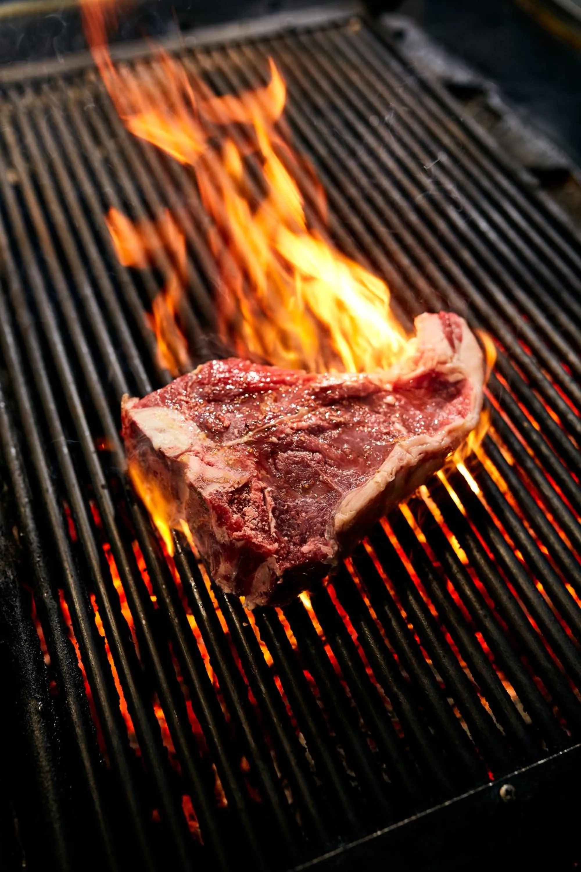 Restaurant/places to eat in TG Hotel Apartments Budapest