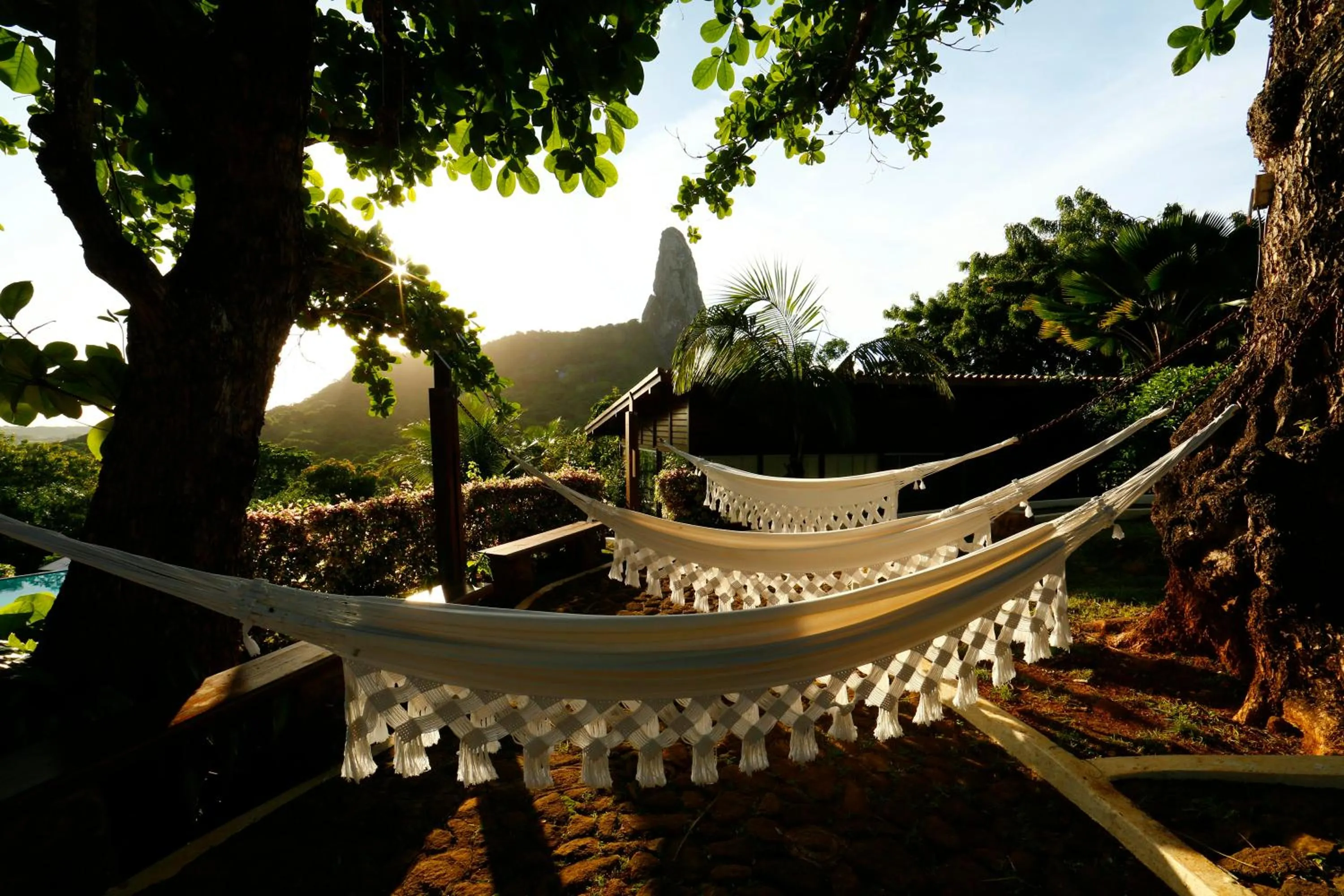 Garden in Pousada Zé Maria