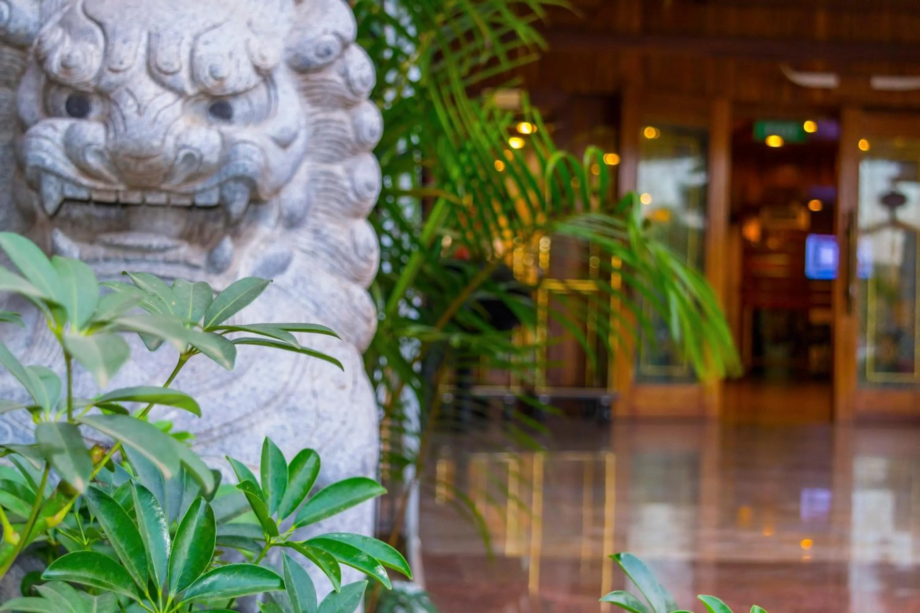 Garden view in Eastland Hotel