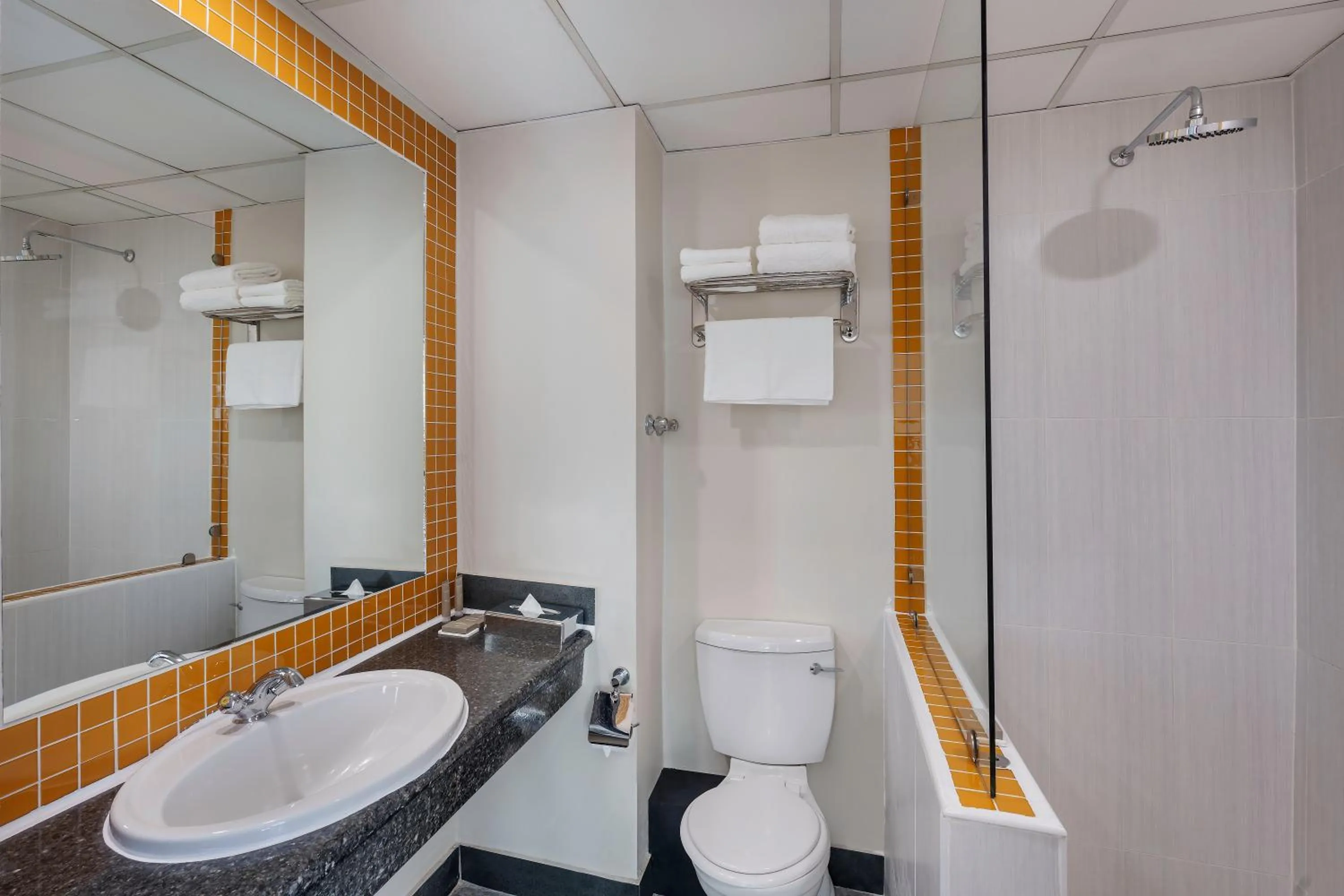 Bathroom in Protea Hotel by Marriott Lusaka Cairo Road