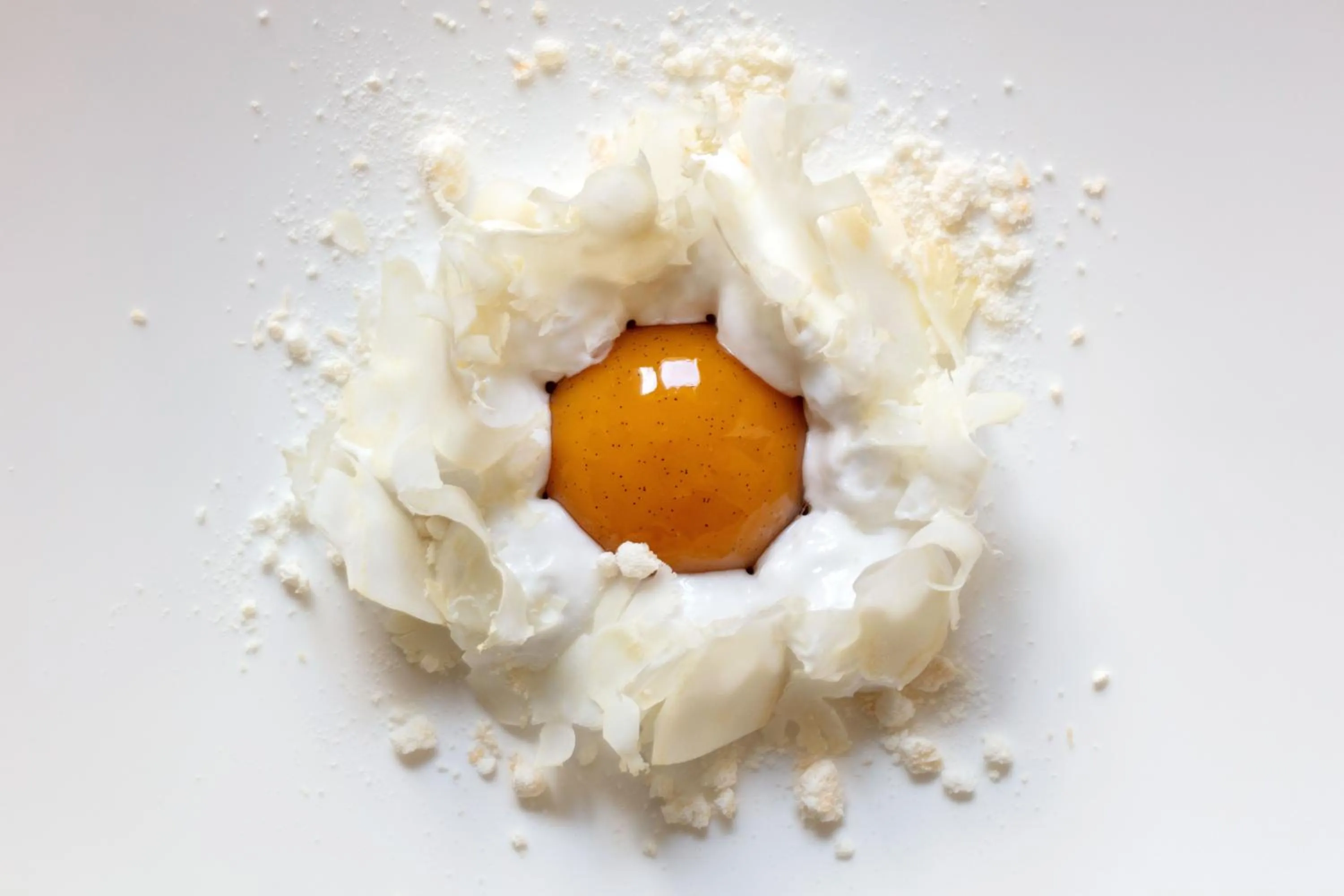 Restaurant/places to eat in Le Jardin des Plumes