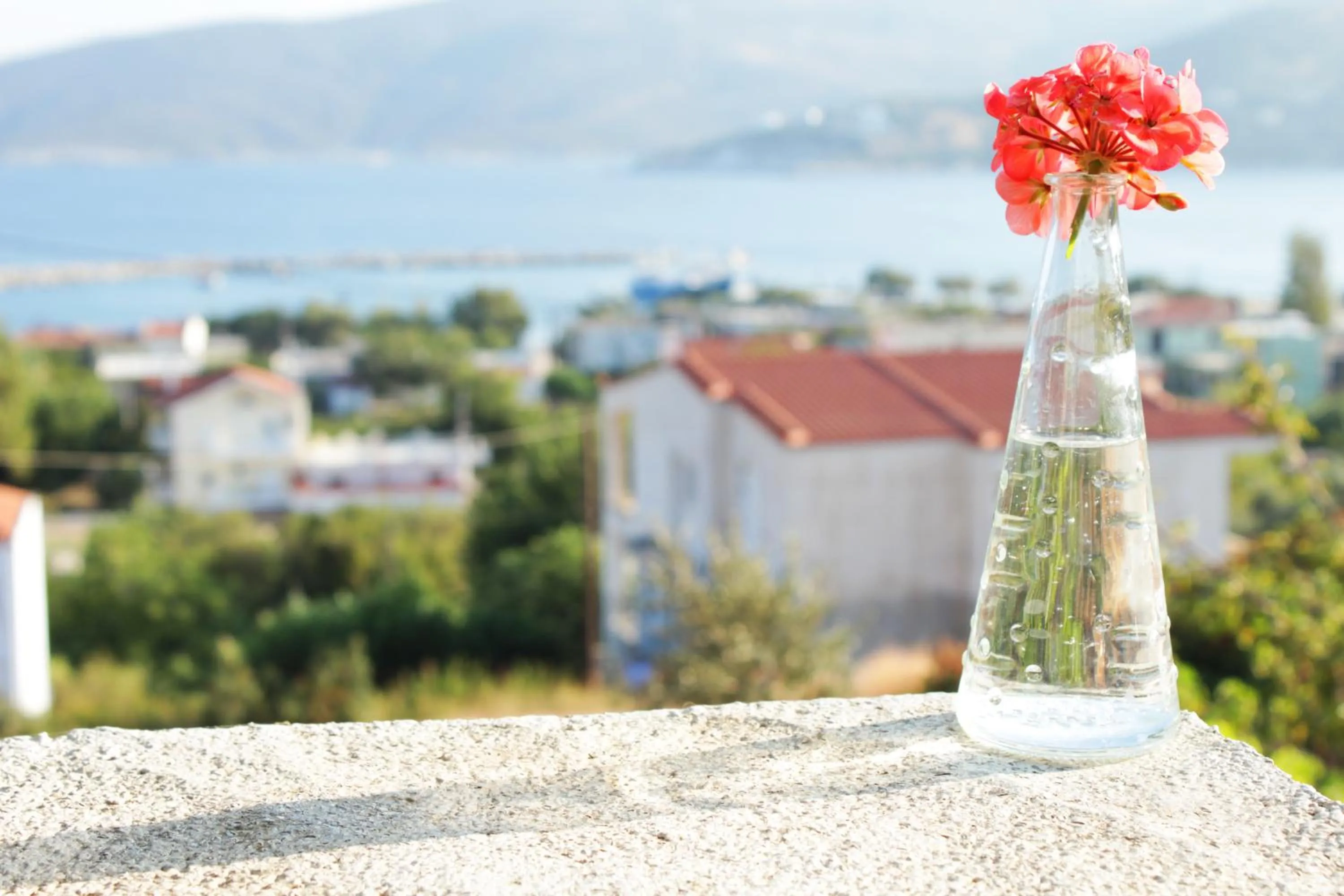 View (from property/room) in Triantafilia Guesthouse