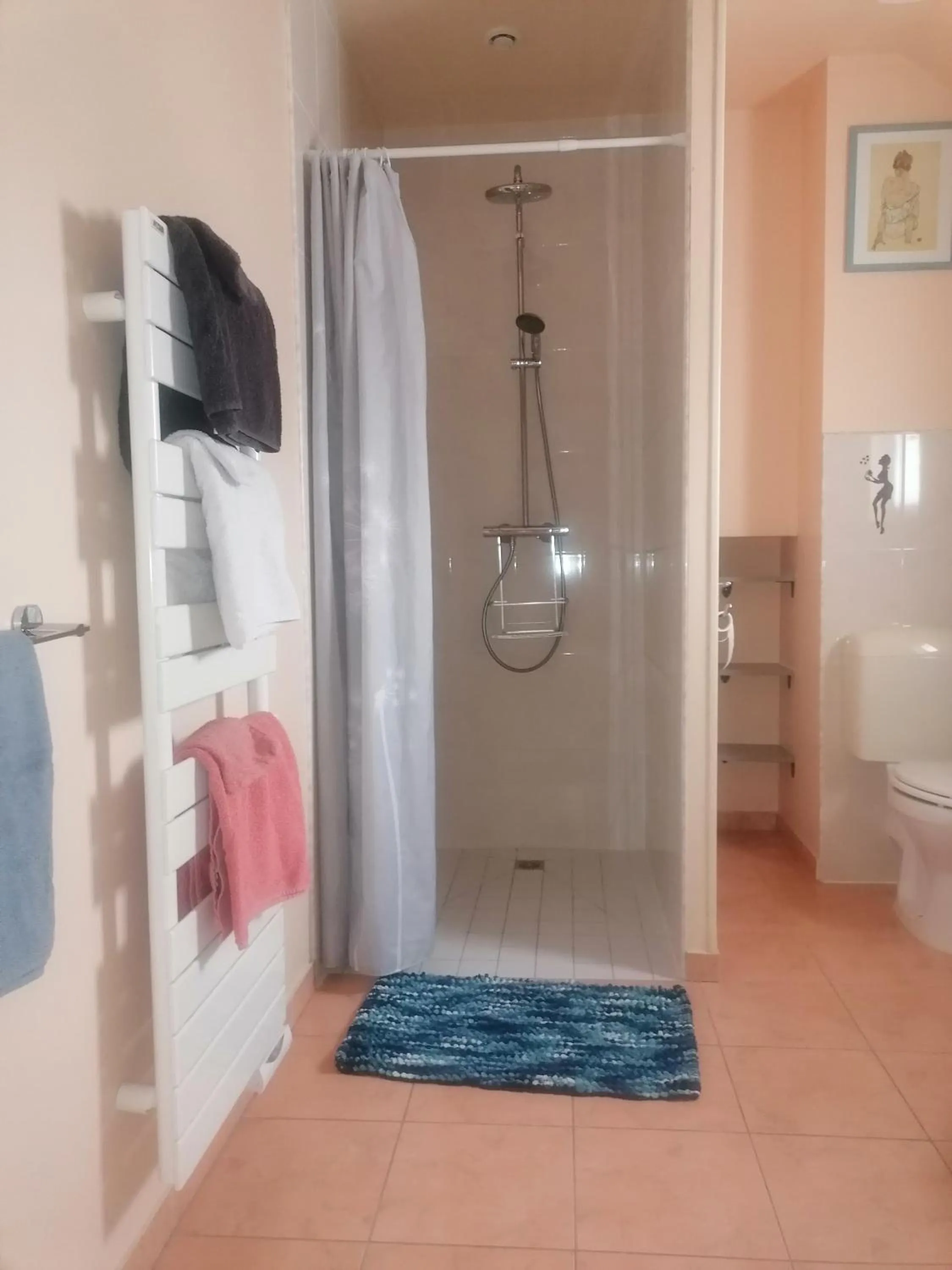 Shower in La Parisiere