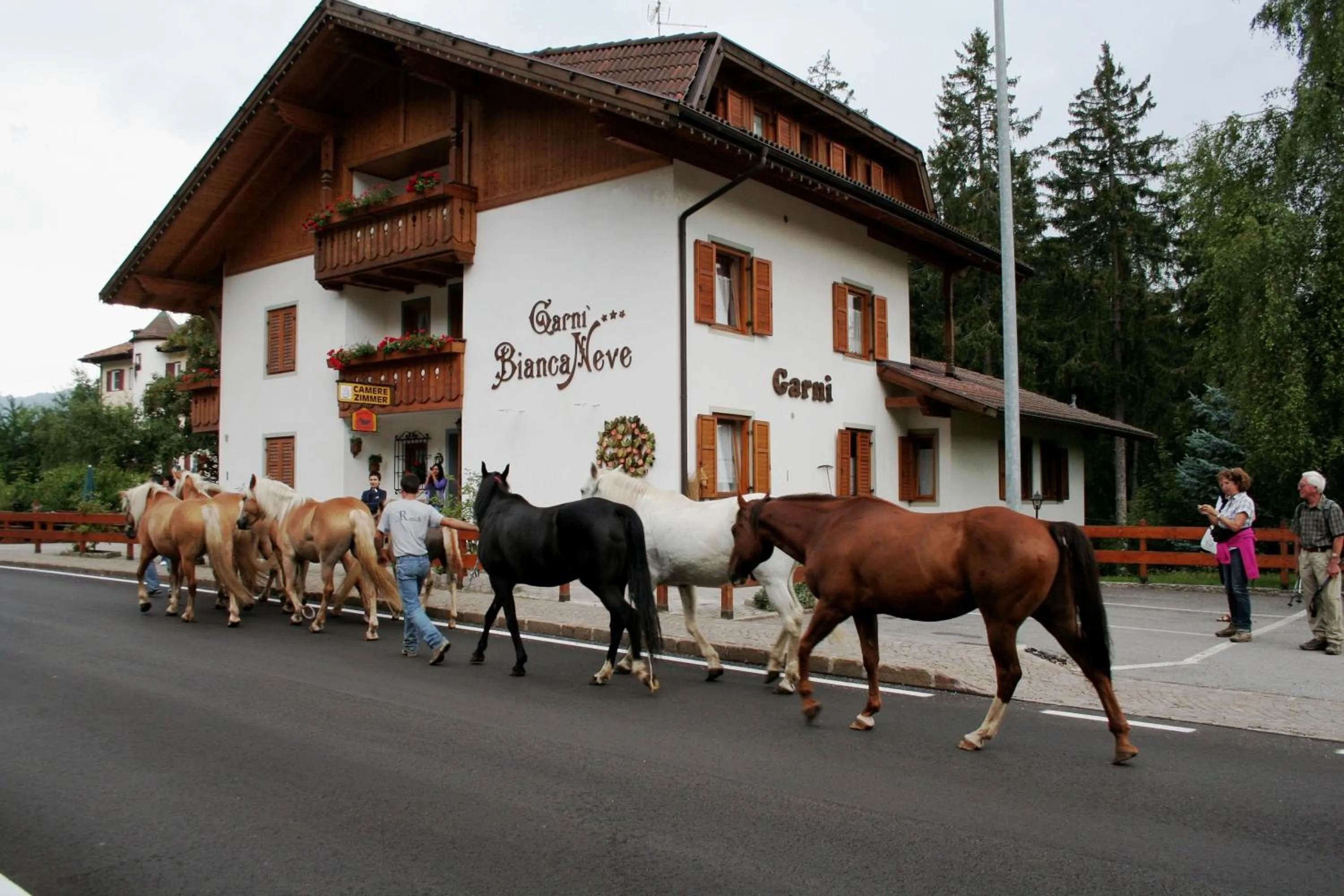 Facade/entrance in Garni Biancaneve Ruffrè-Mendola