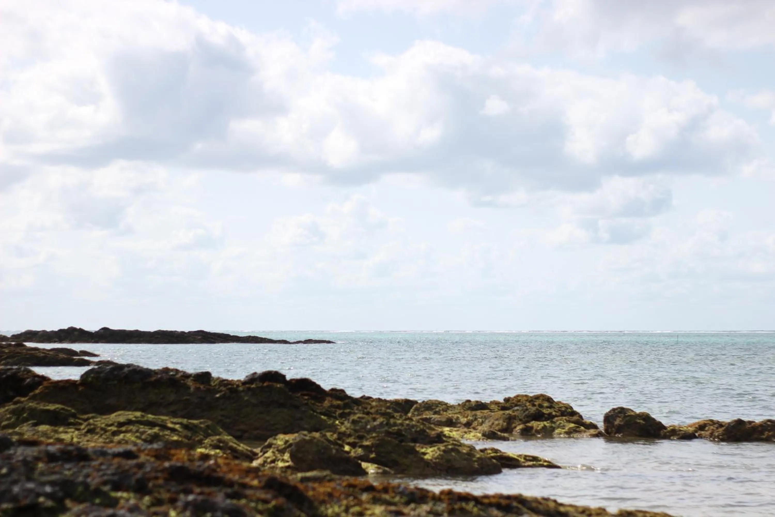 Natural landscape in HOPE VILLA ONNASON