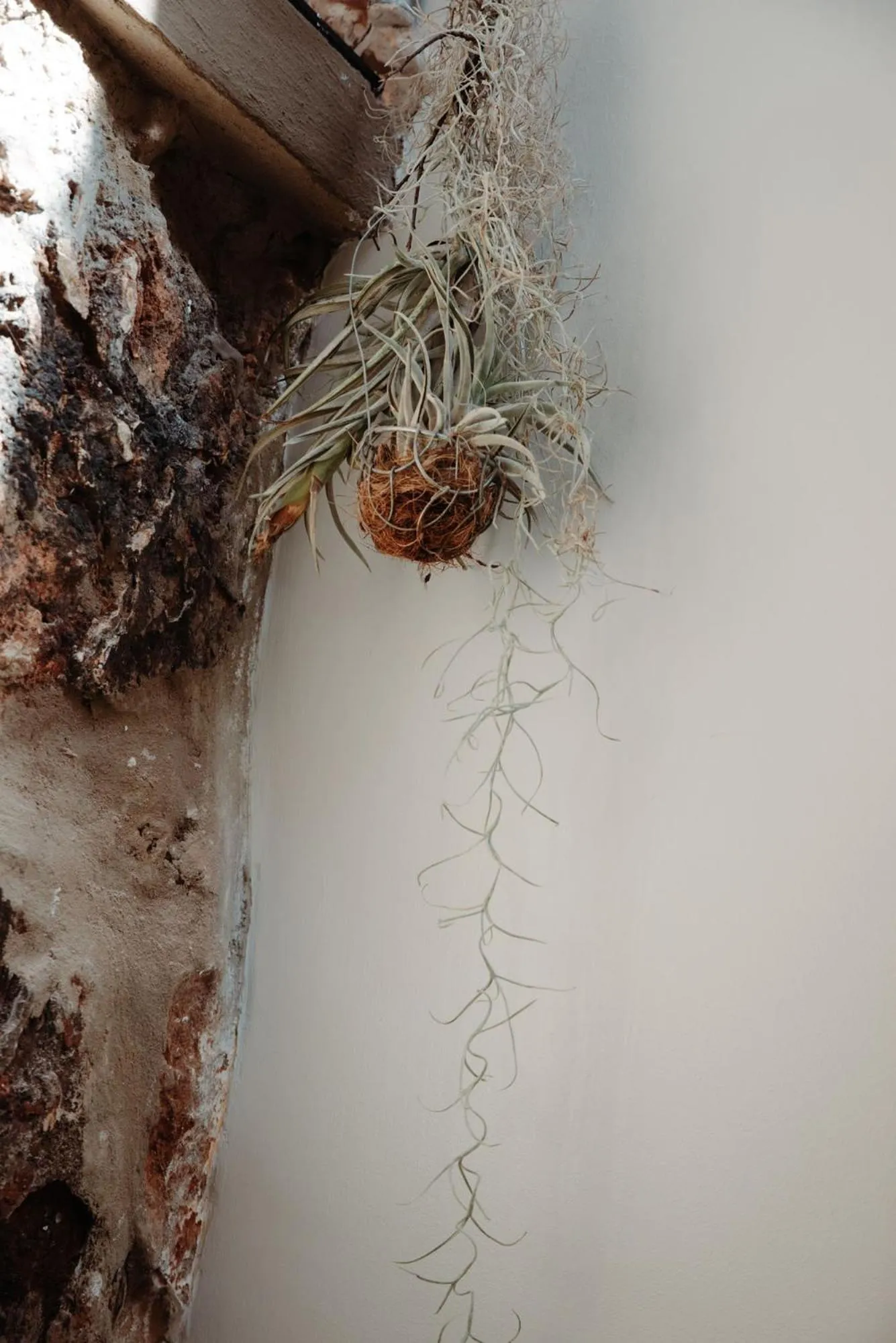 Natural landscape in Bastion House