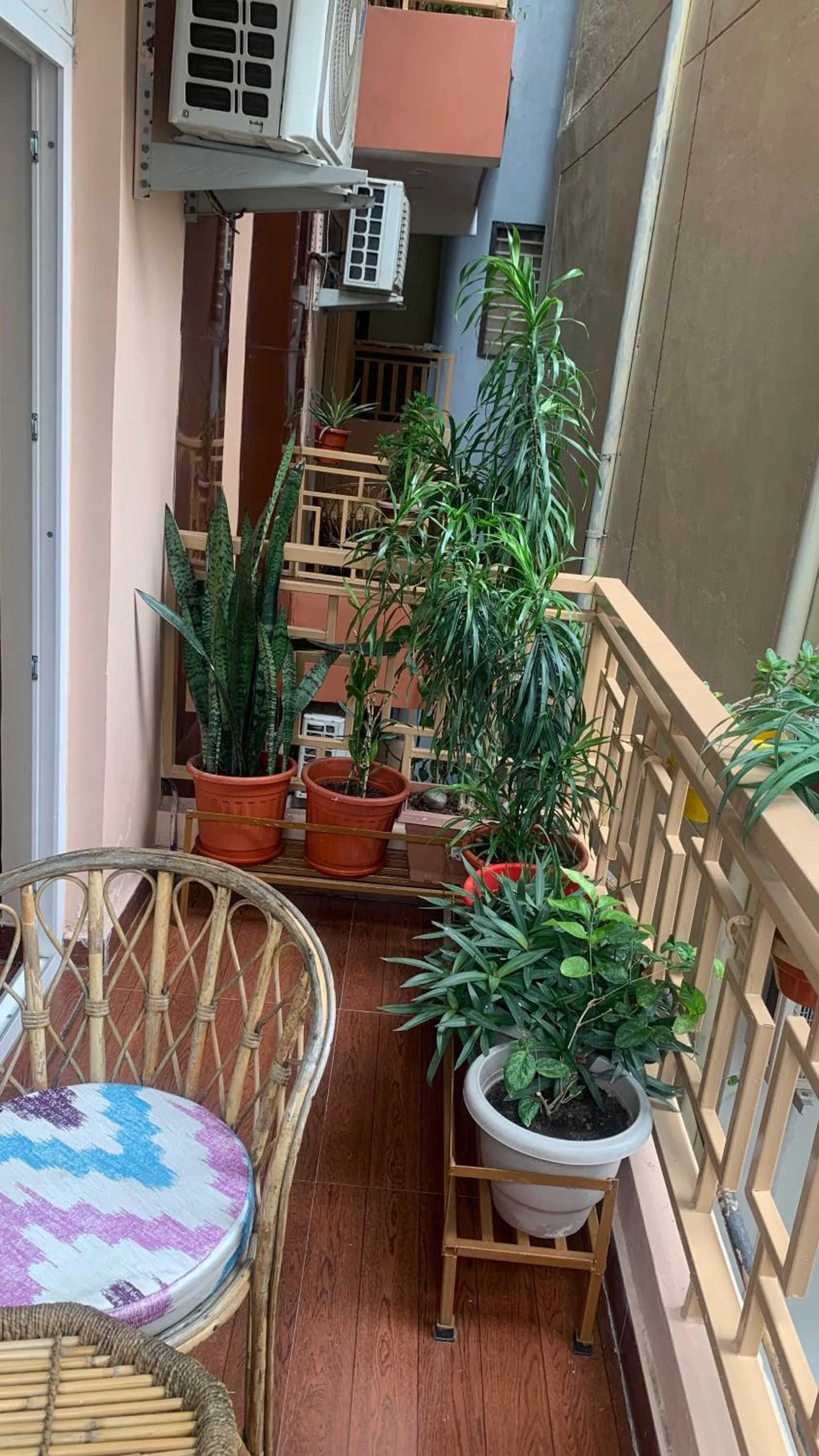 Balcony/Terrace in Rudram Hotel Yoga & Ayurveda Retreat