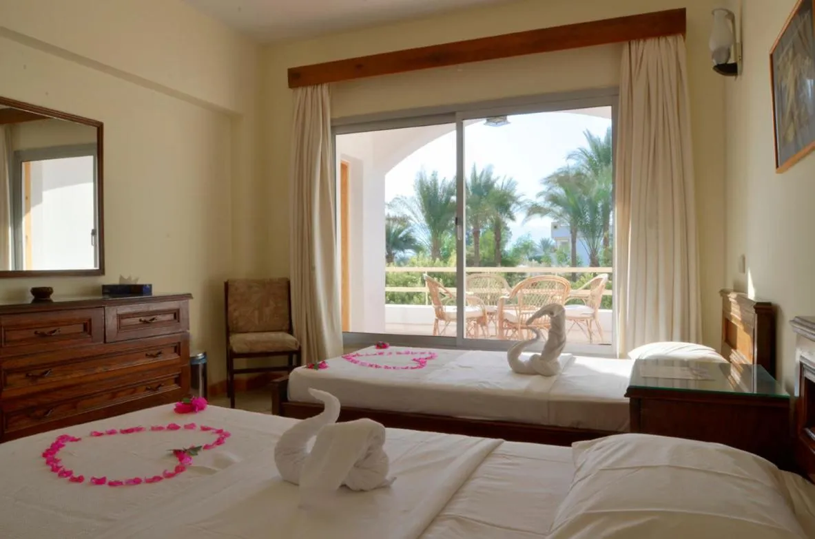 Day, Bed in Oonas Dive Club