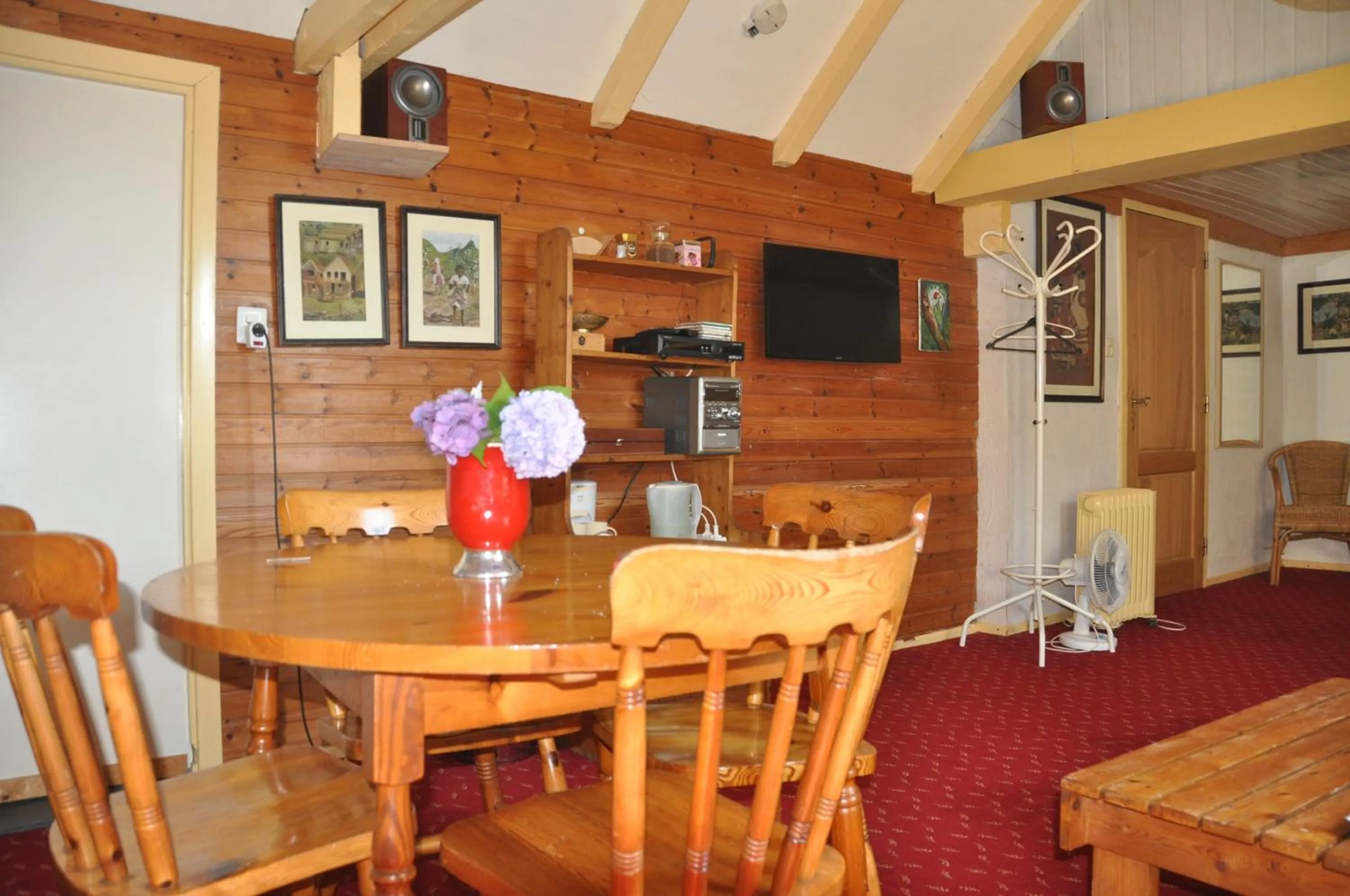 TV and multimedia in De Hoge Peel