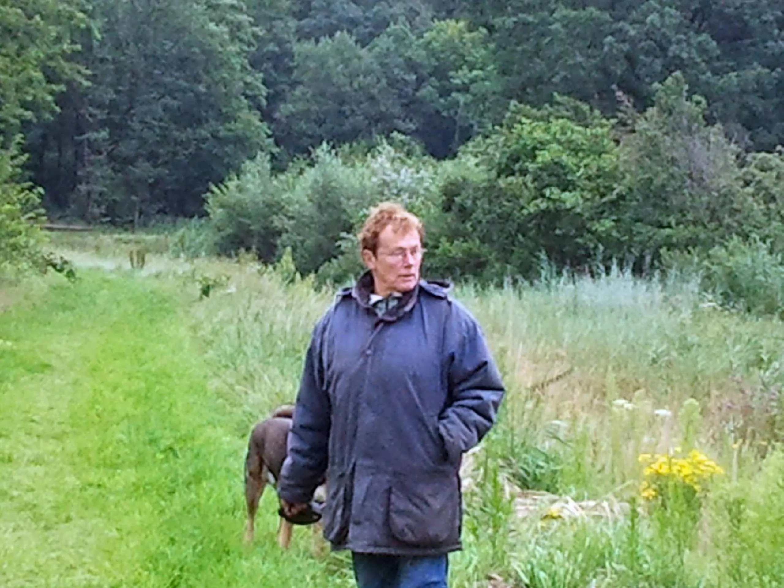 Natural landscape in De Hoge Peel