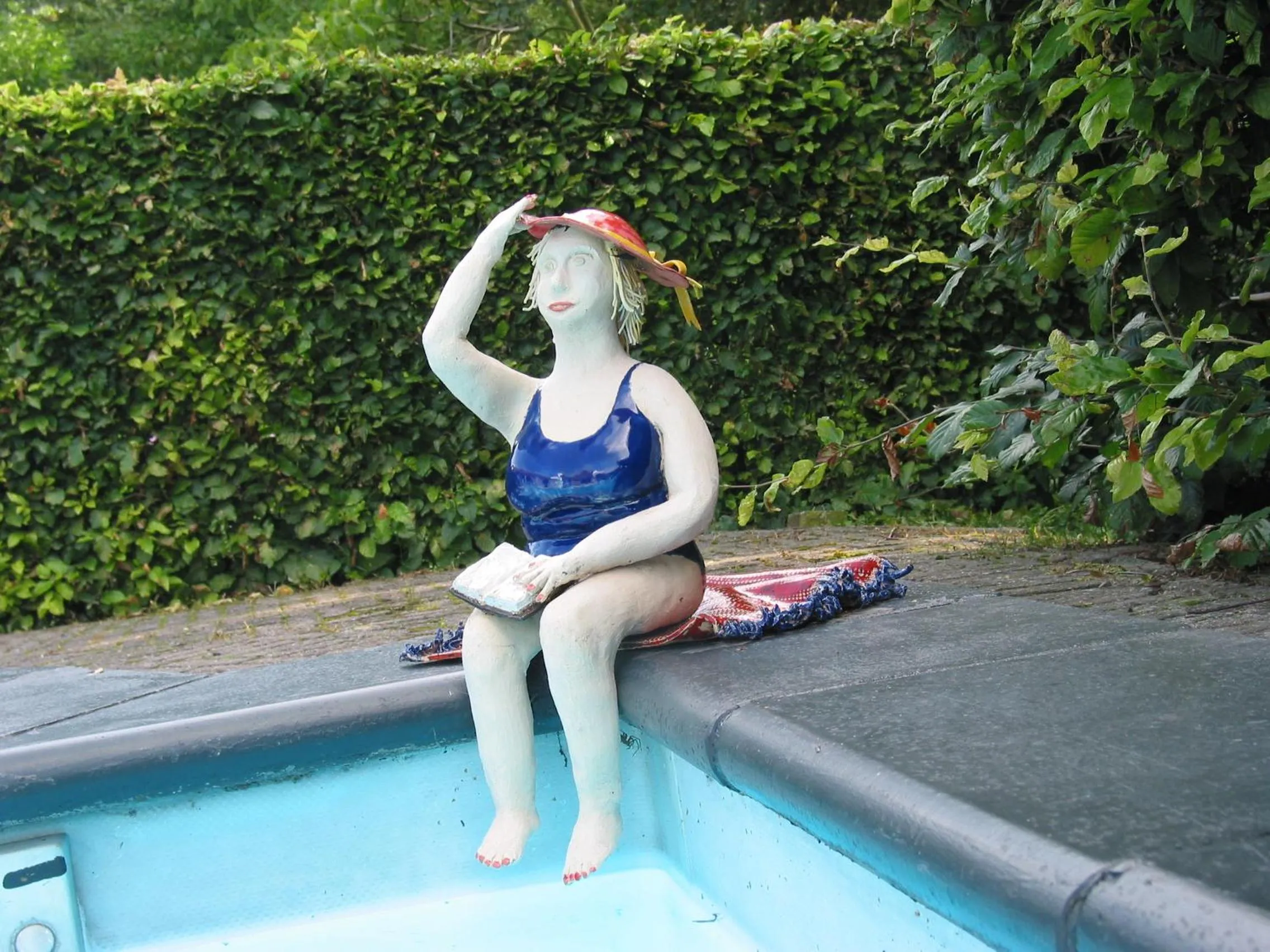 Swimming pool in De Hoge Peel