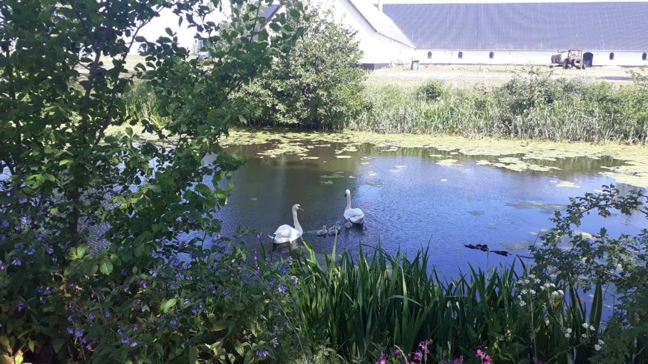 Living room in Lerbæk Hovedgaard