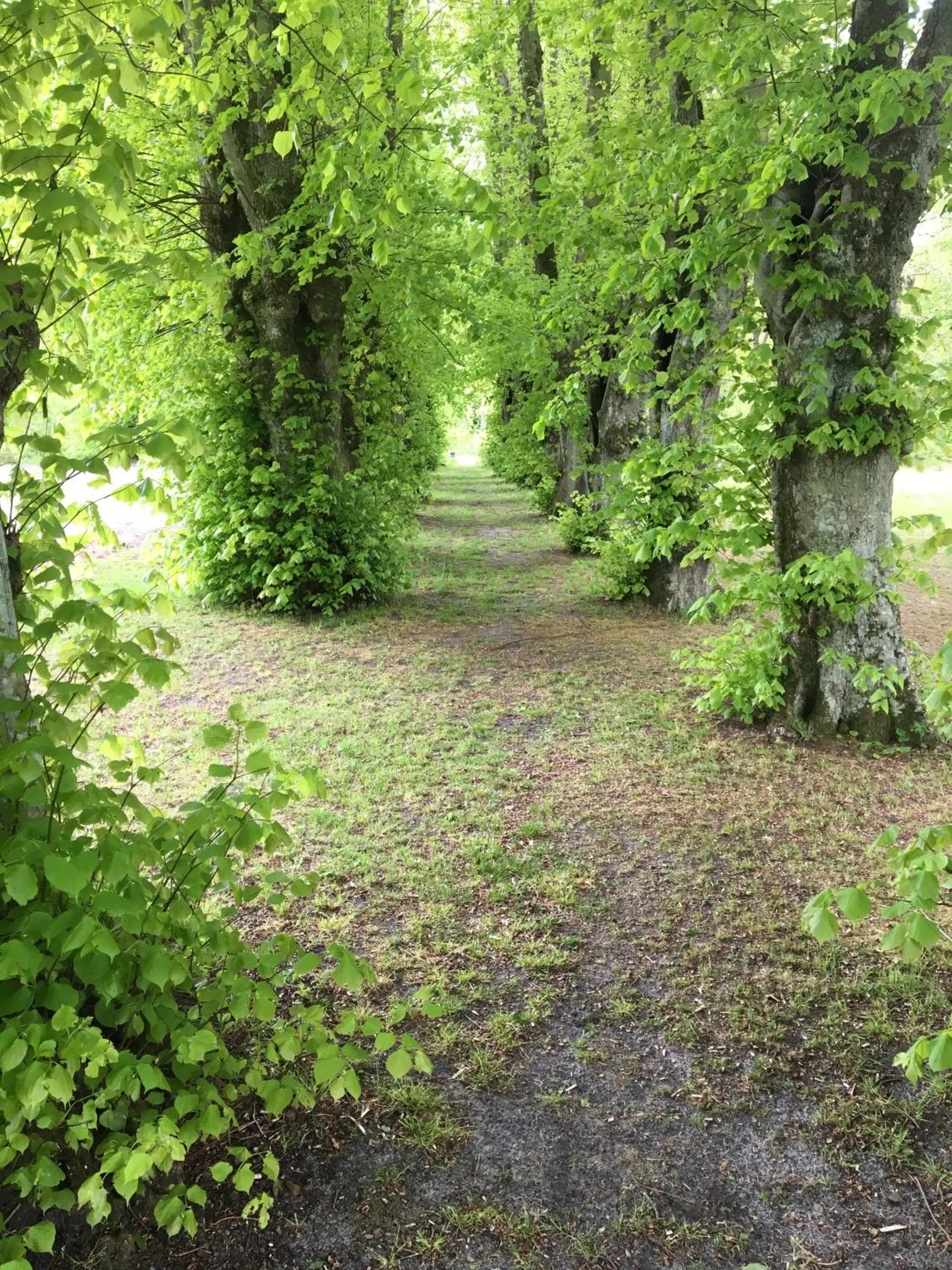 Living room in Lerbæk Hovedgaard