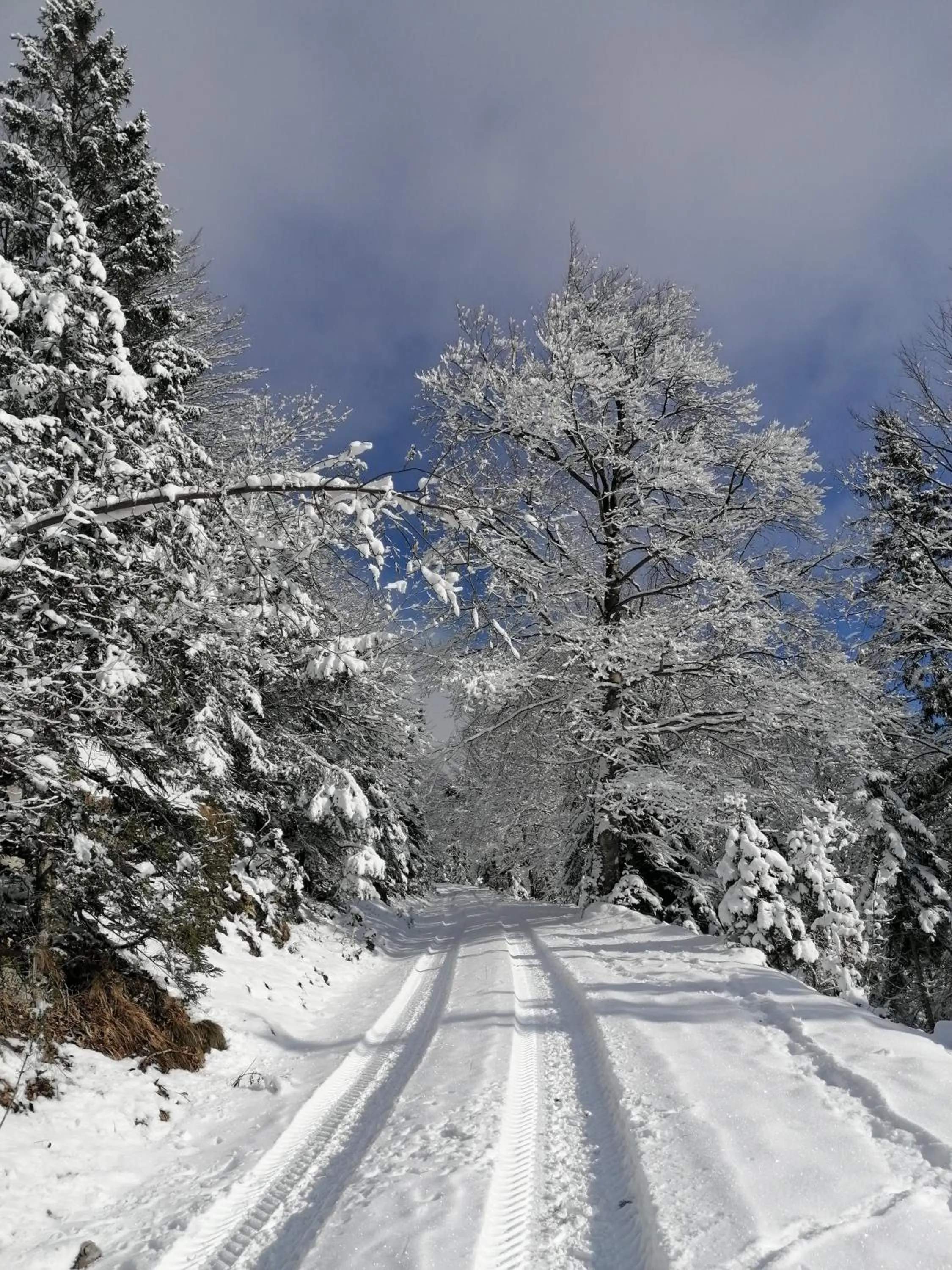 Winter in Landhaus Mitsche