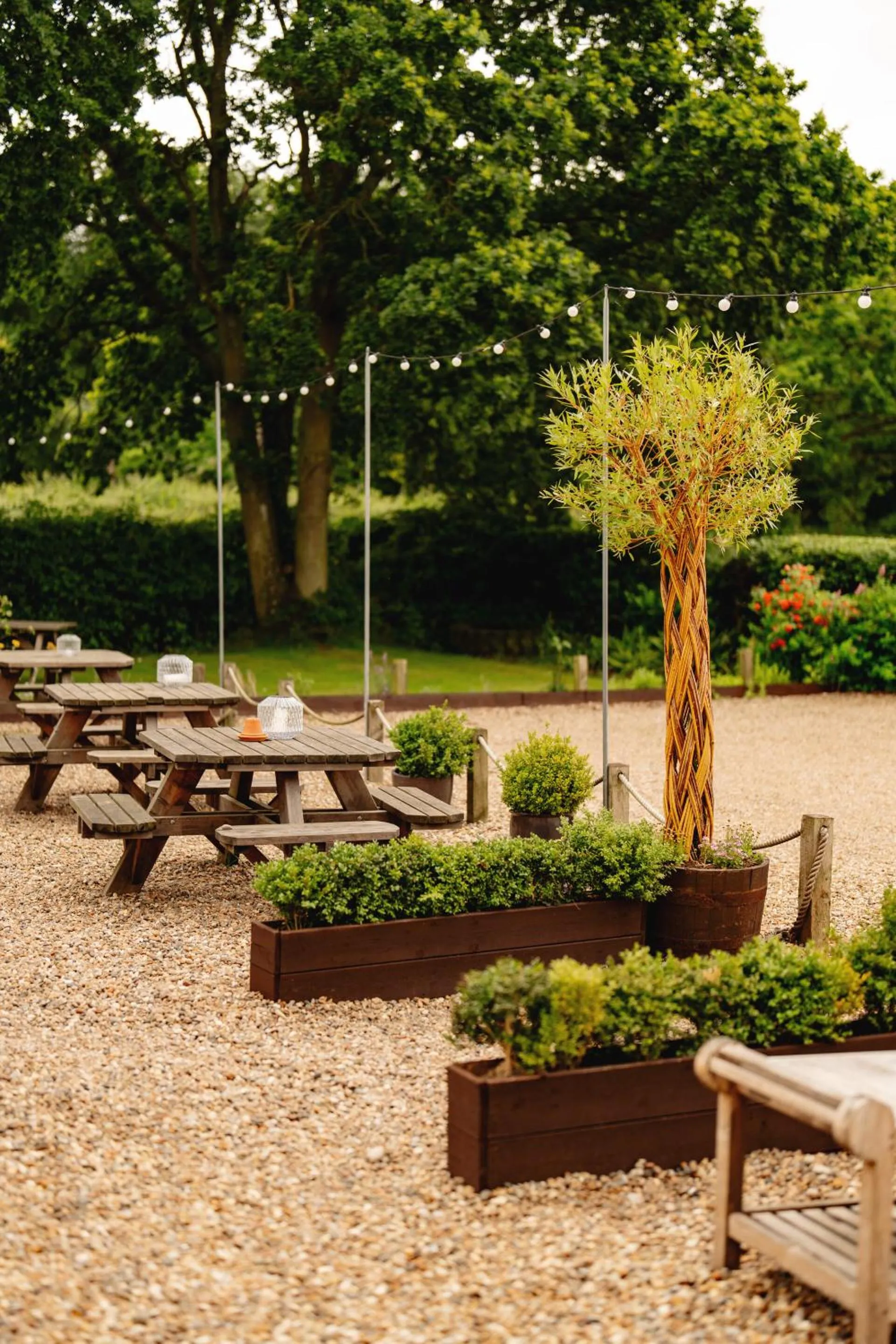 Garden in Wheatacre White Lion