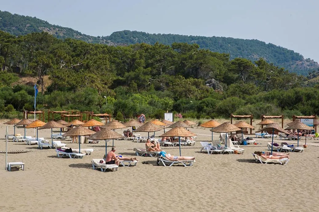 Beach in The One Club Hotel