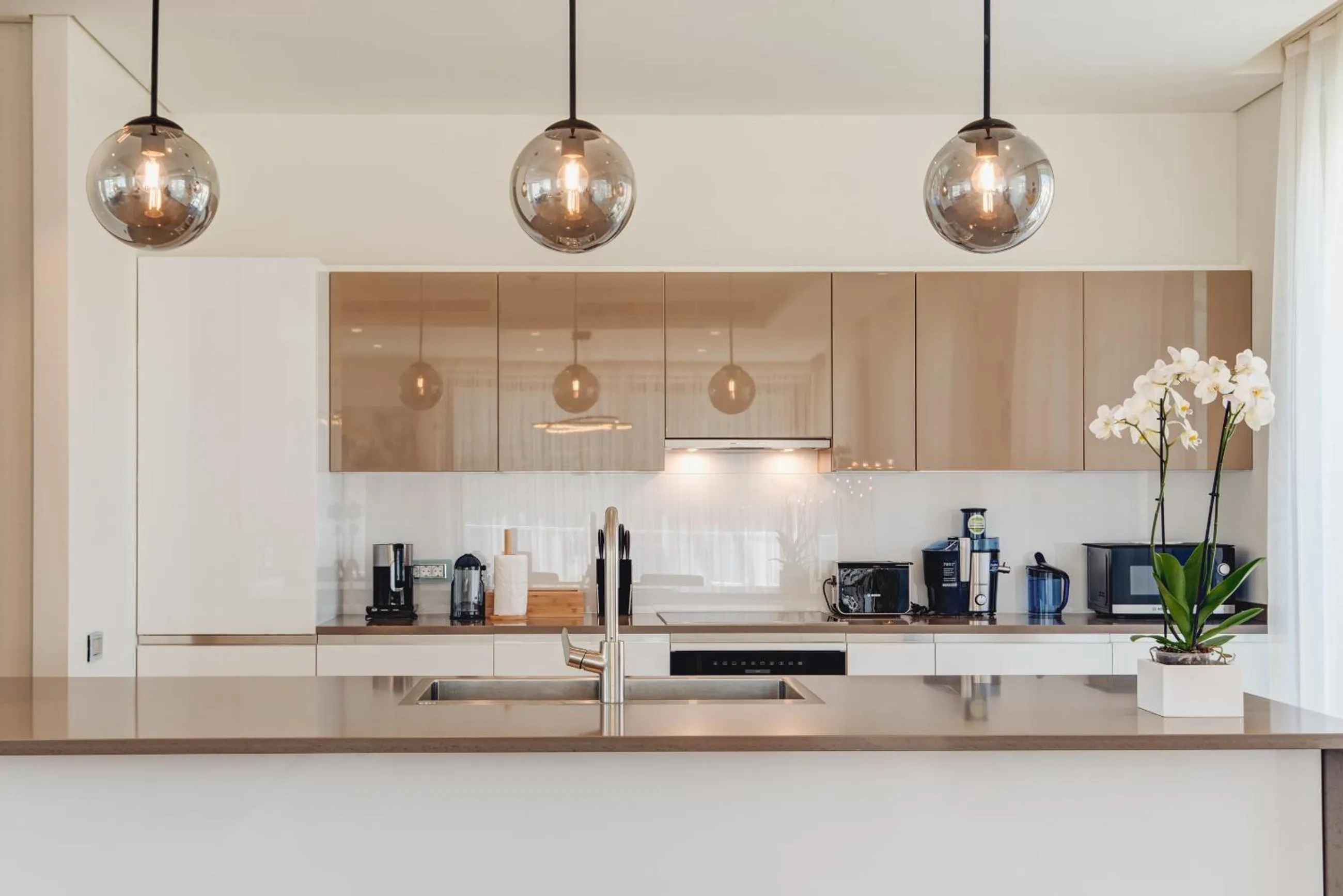 Kitchen or kitchenette in Portonovi Resort