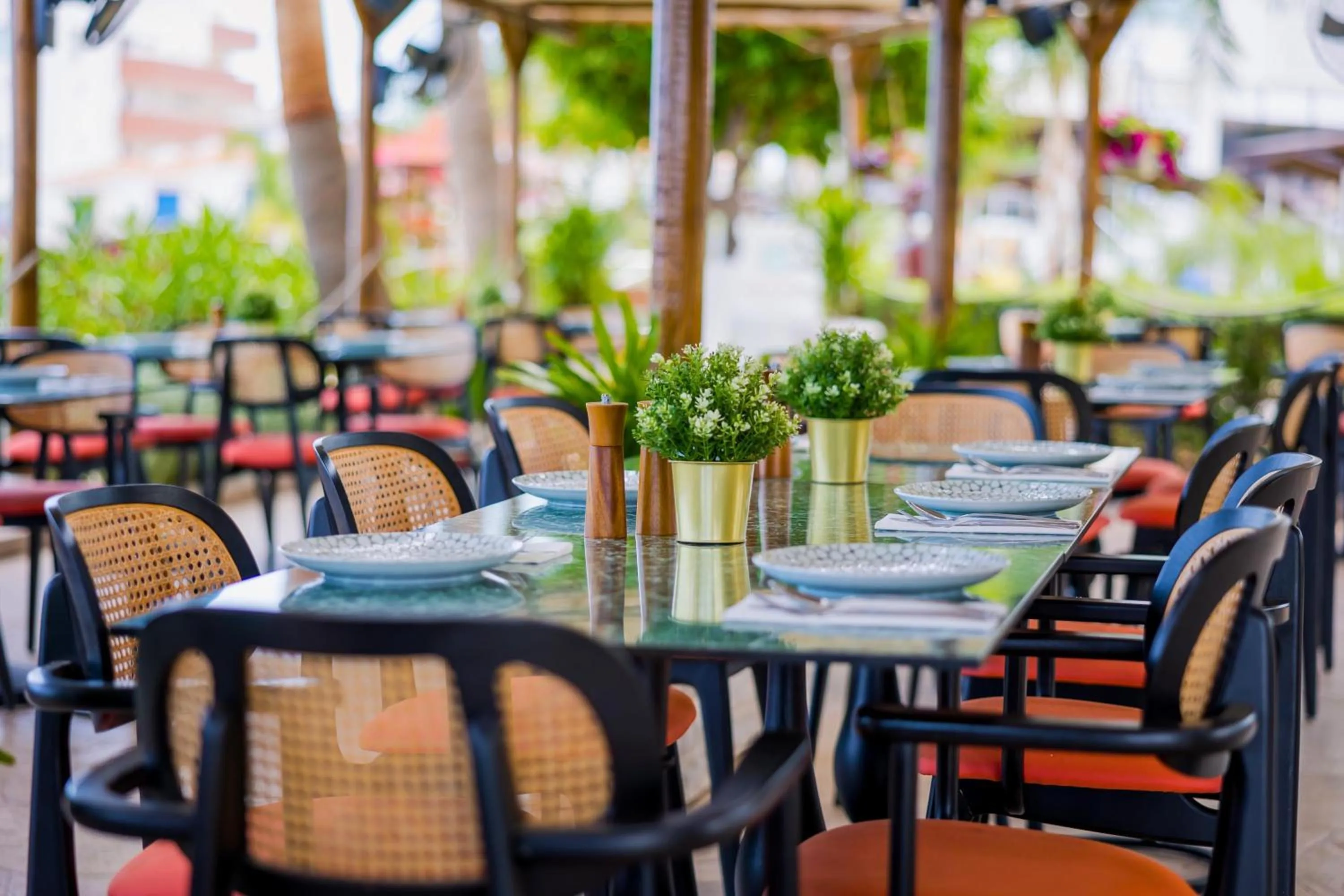 Restaurant/places to eat in Cavo Maris Beach Hotel