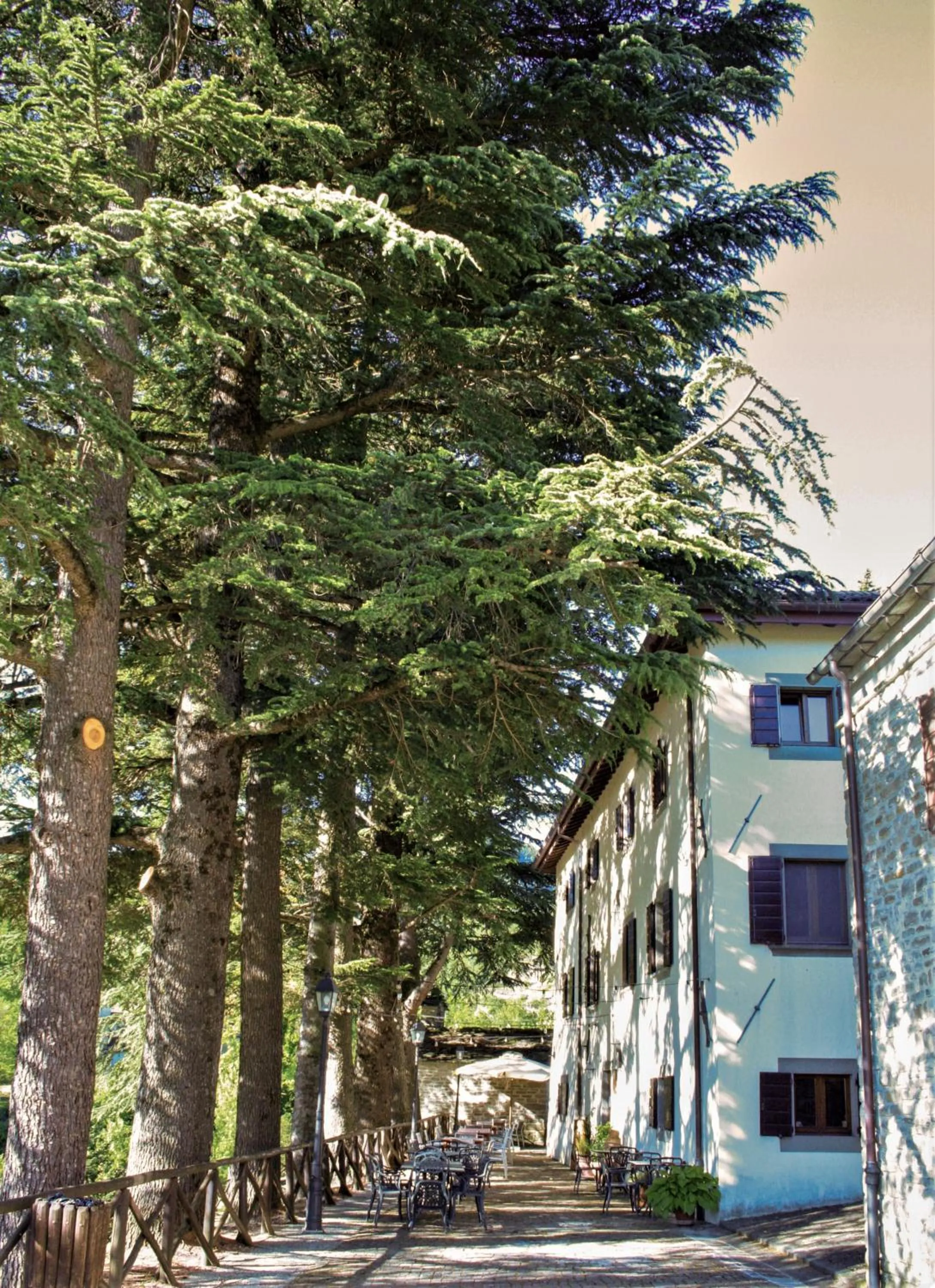 Il Palazzo Ridracoli