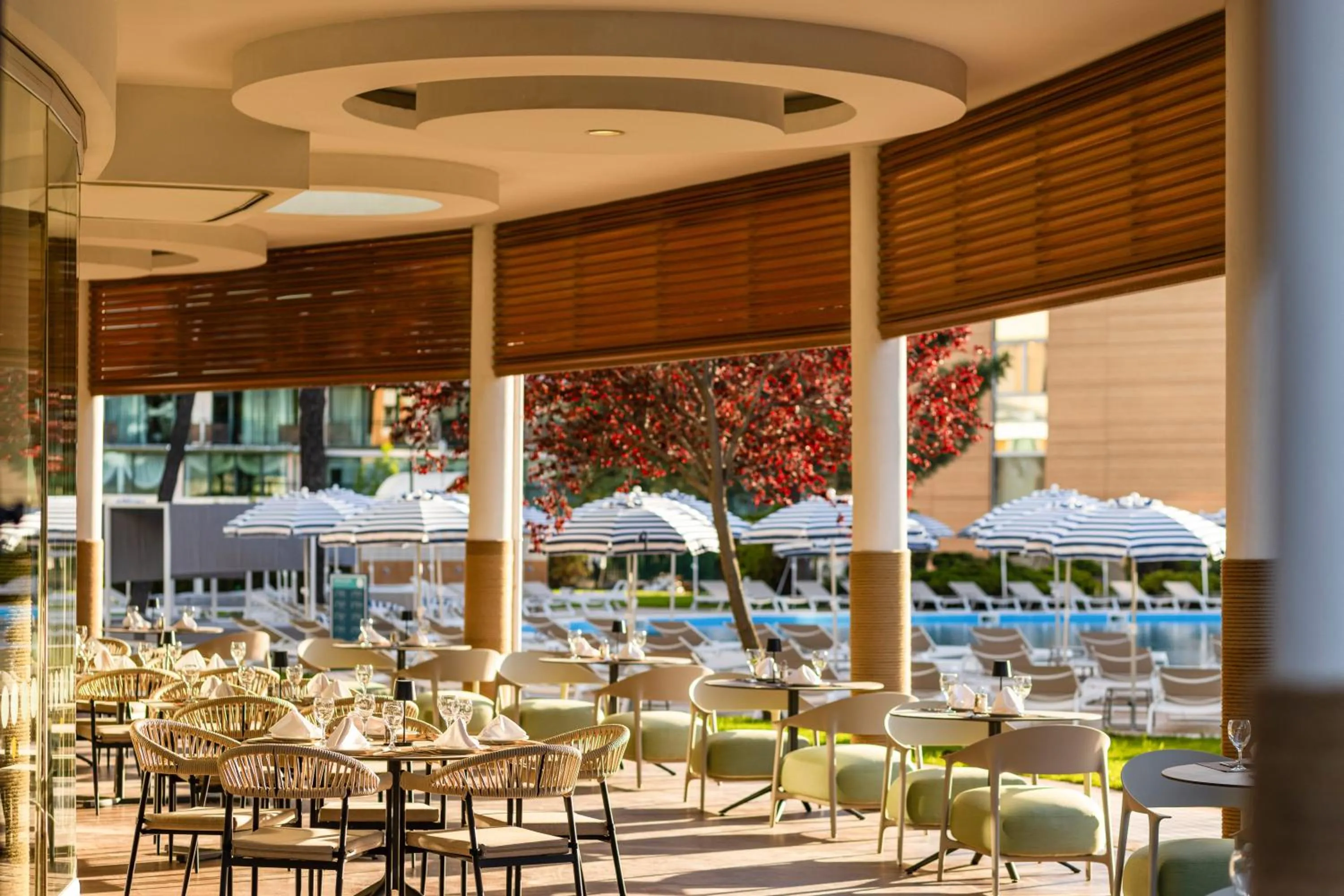 Restaurant/places to eat in AluaSoul Sunny Beach - Adults Only - All Inclusive