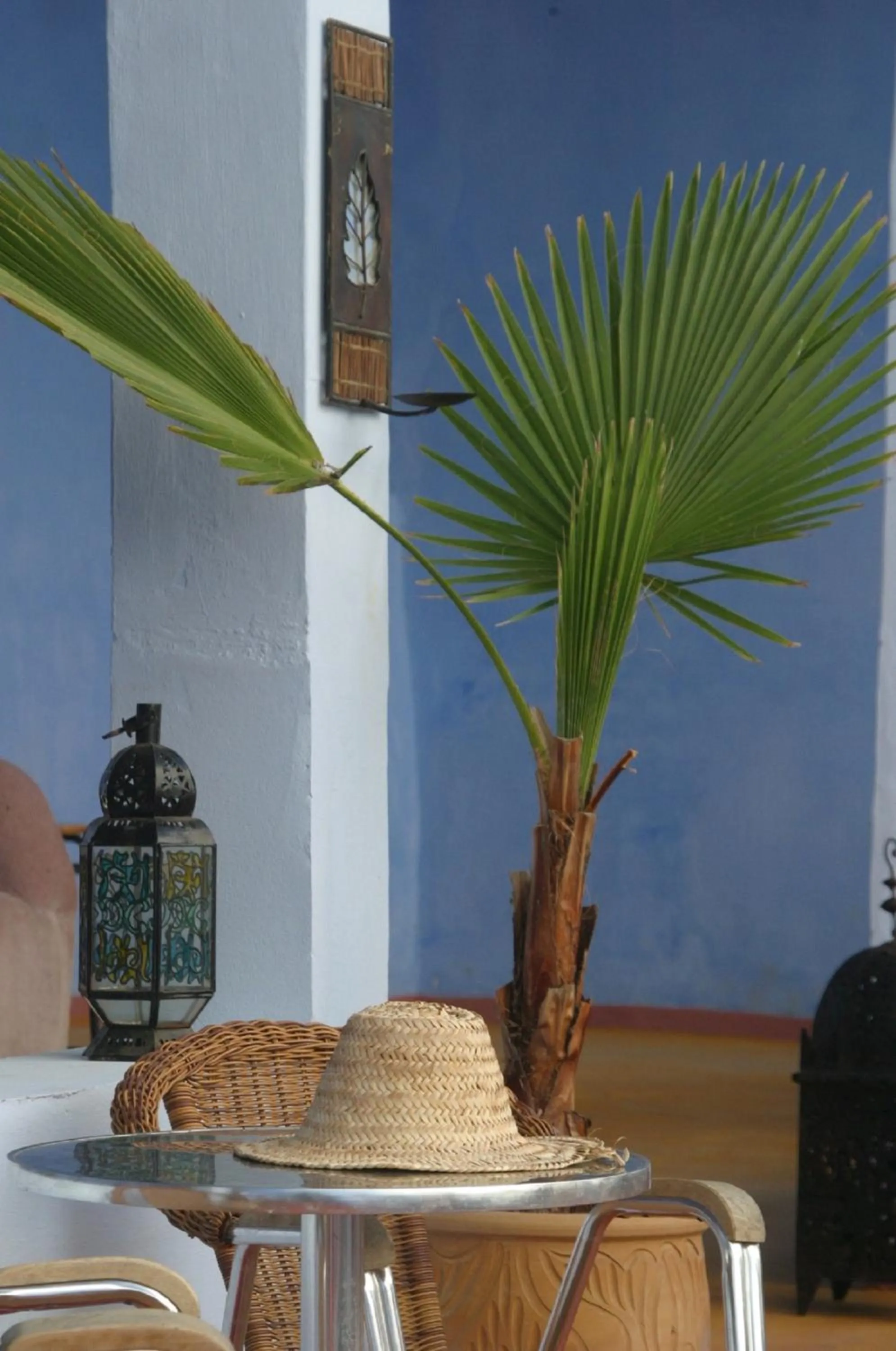 Garden in Dar Omar Khayam