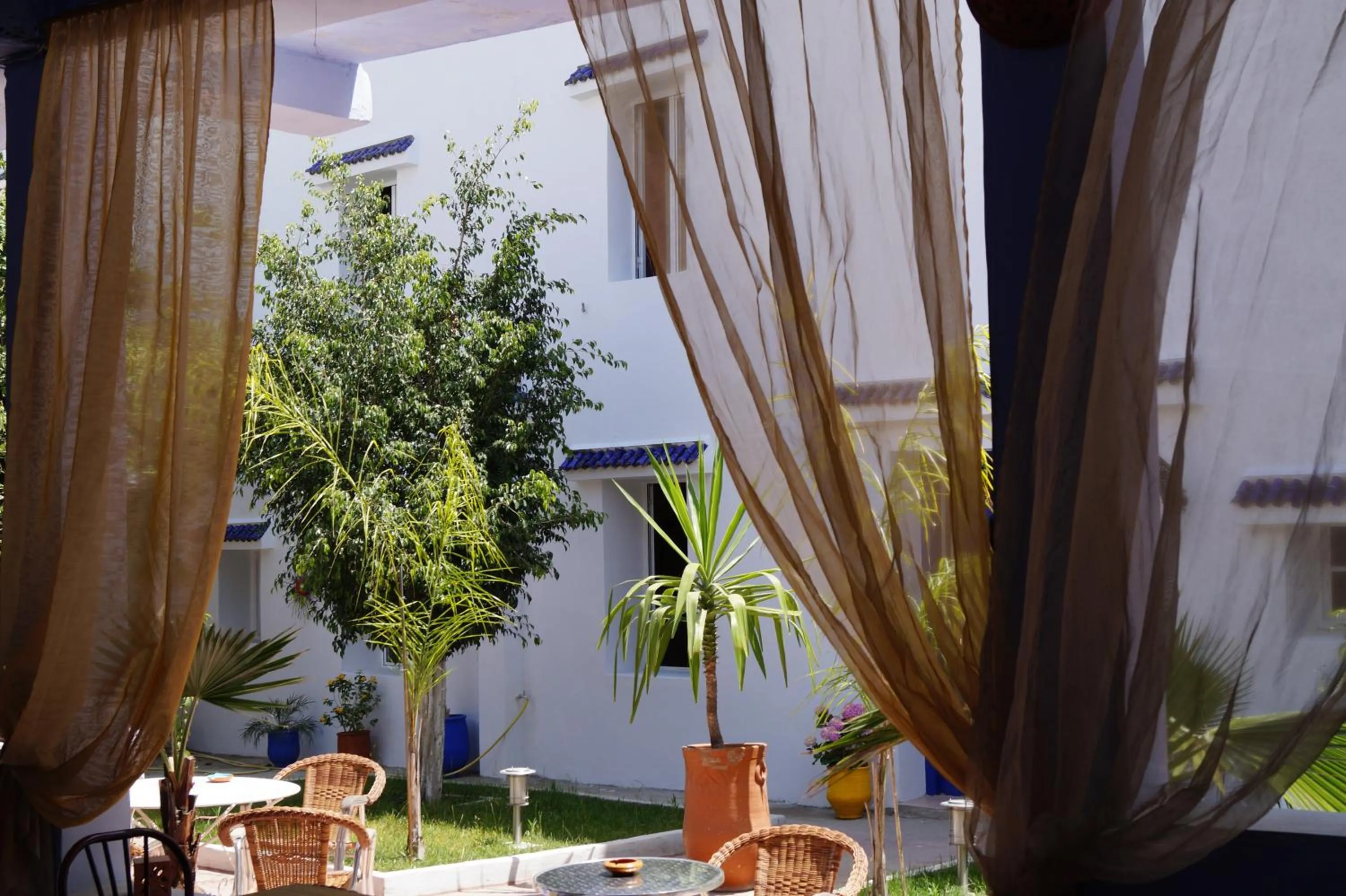 Garden in Dar Omar Khayam