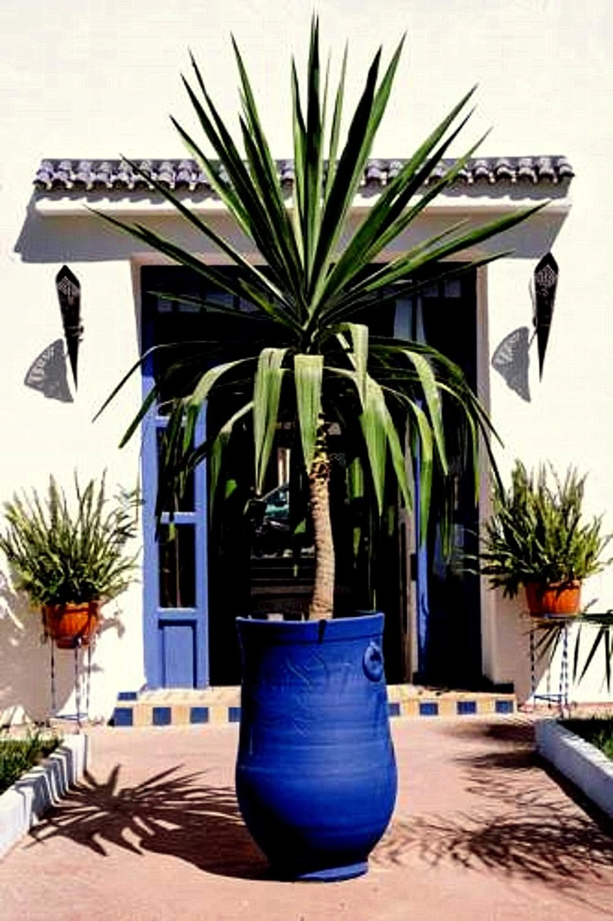 Garden in Dar Omar Khayam