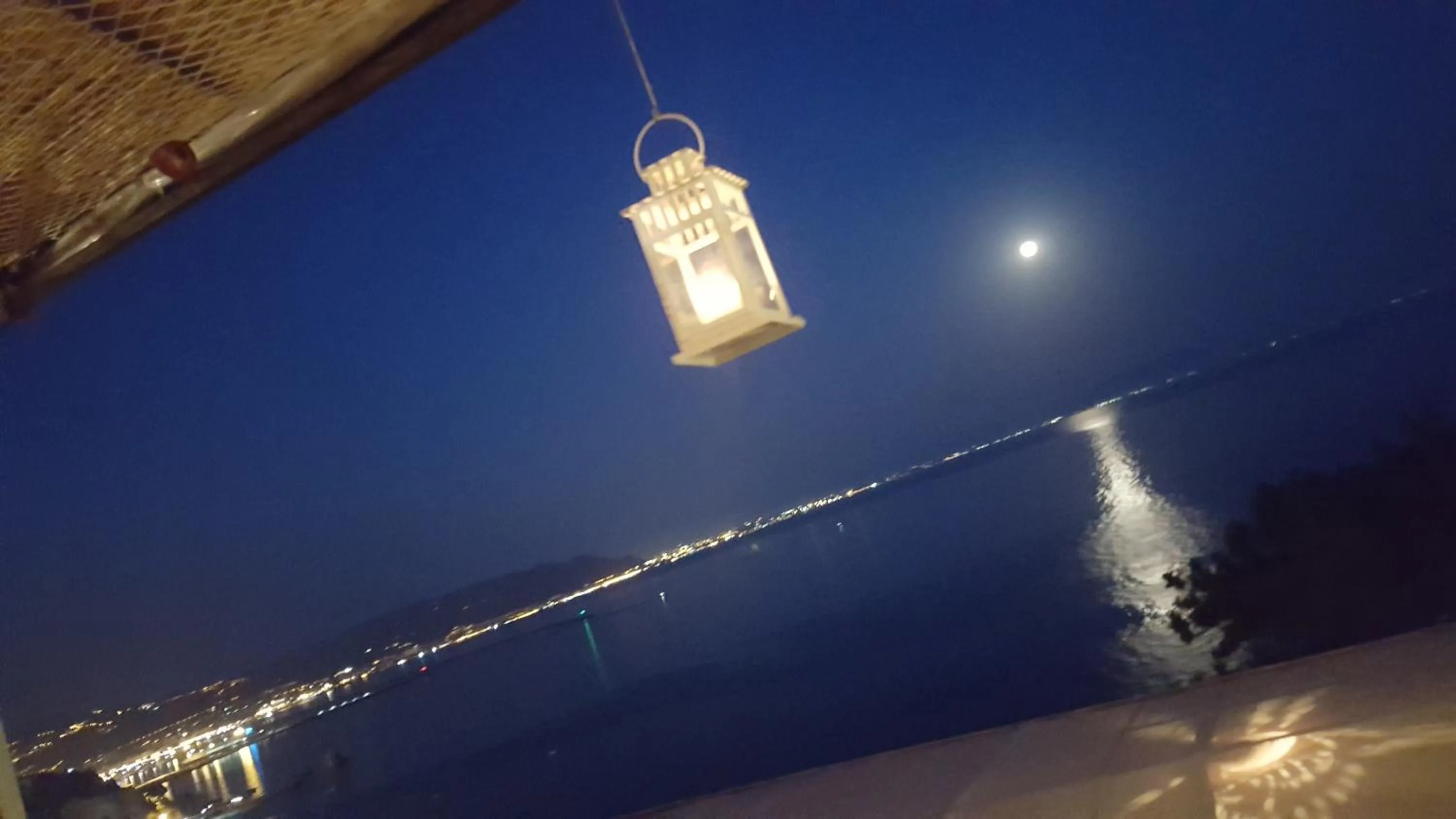 Restaurant/places to eat in B&B FISH